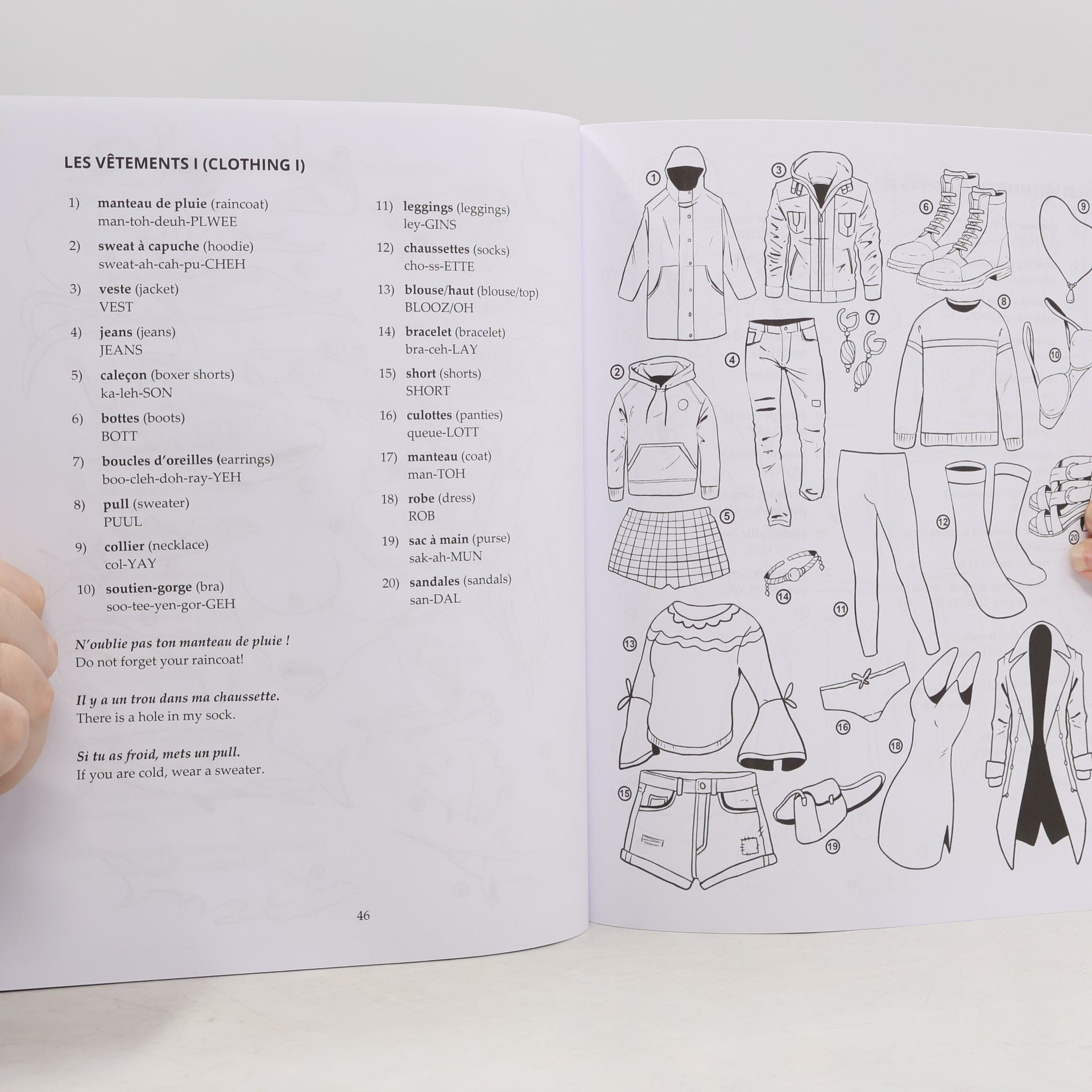 Lingo Mastery French Picture Dictionary Coloring Book