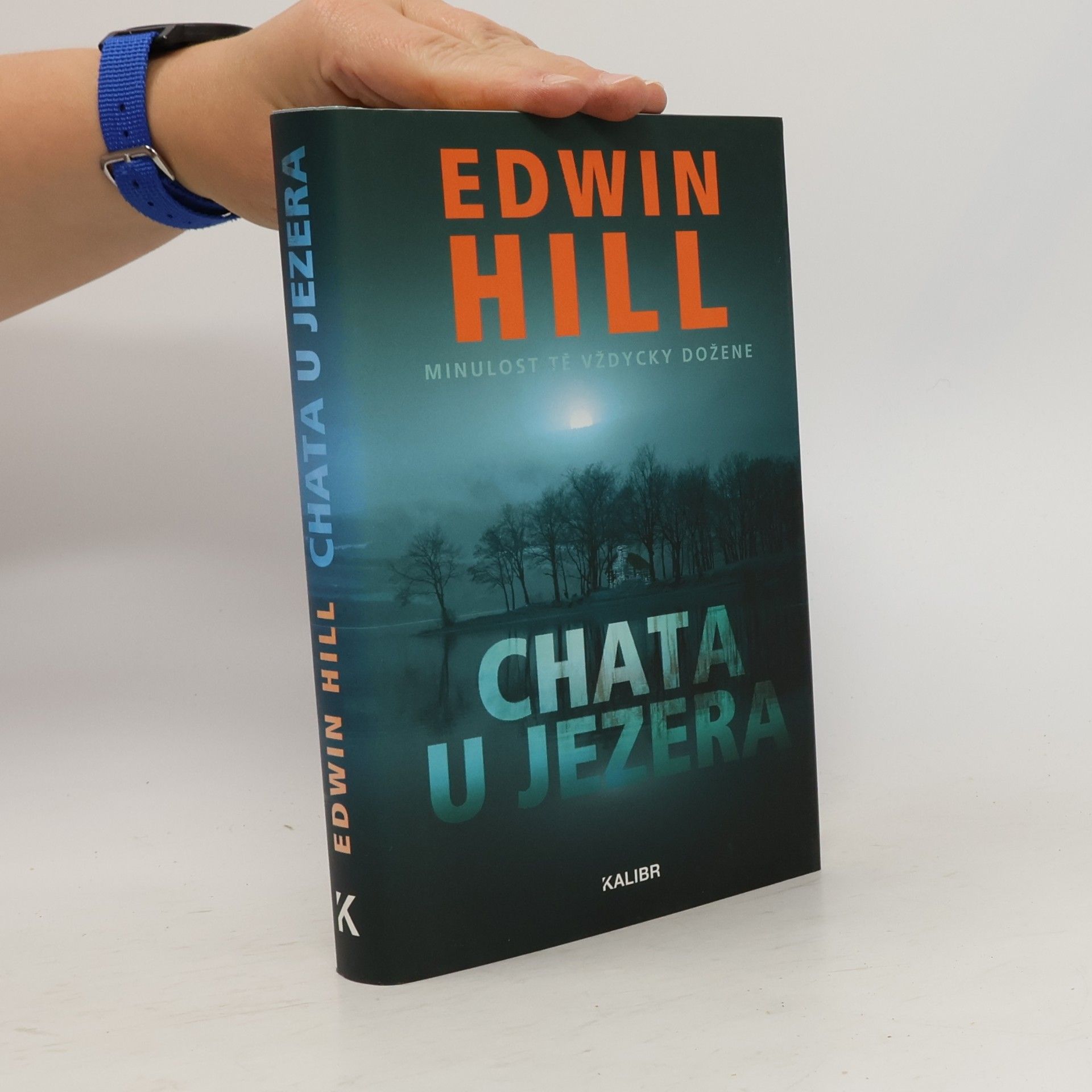Edwin Hill Chata u jezera
