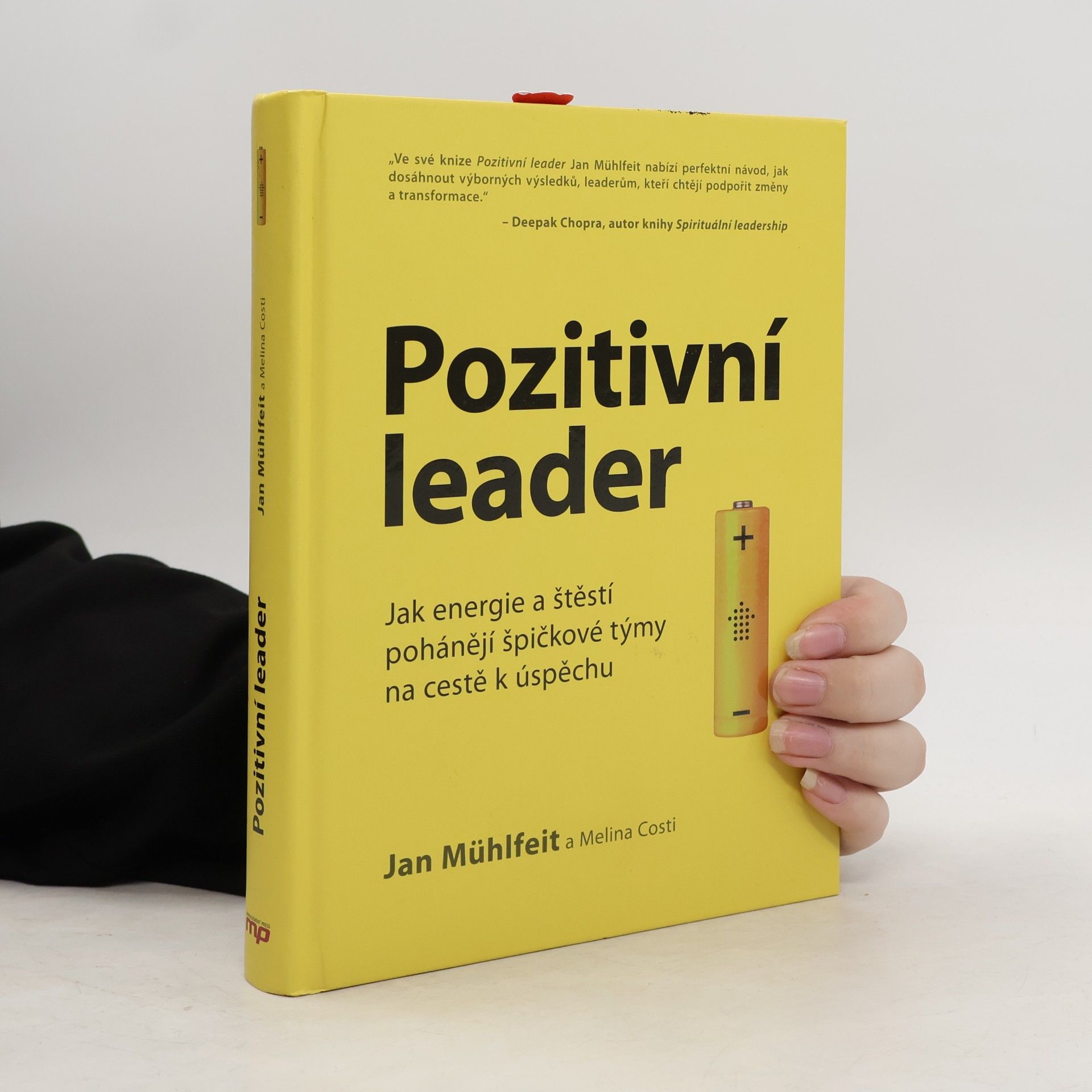Jan Mühlfeit Pozitivní leader