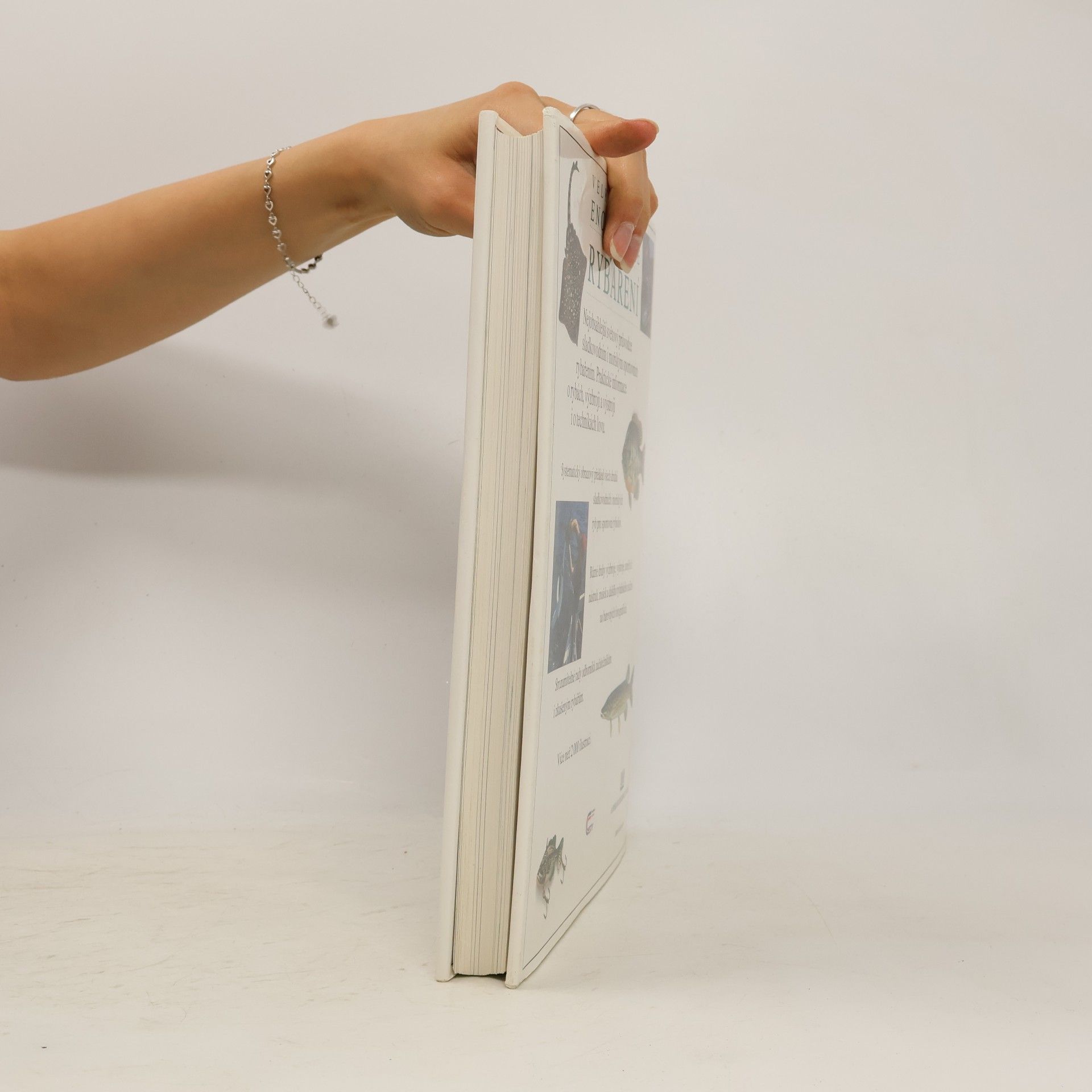 Autorenkollektiv Velká obrazová encyklopedie rybaření