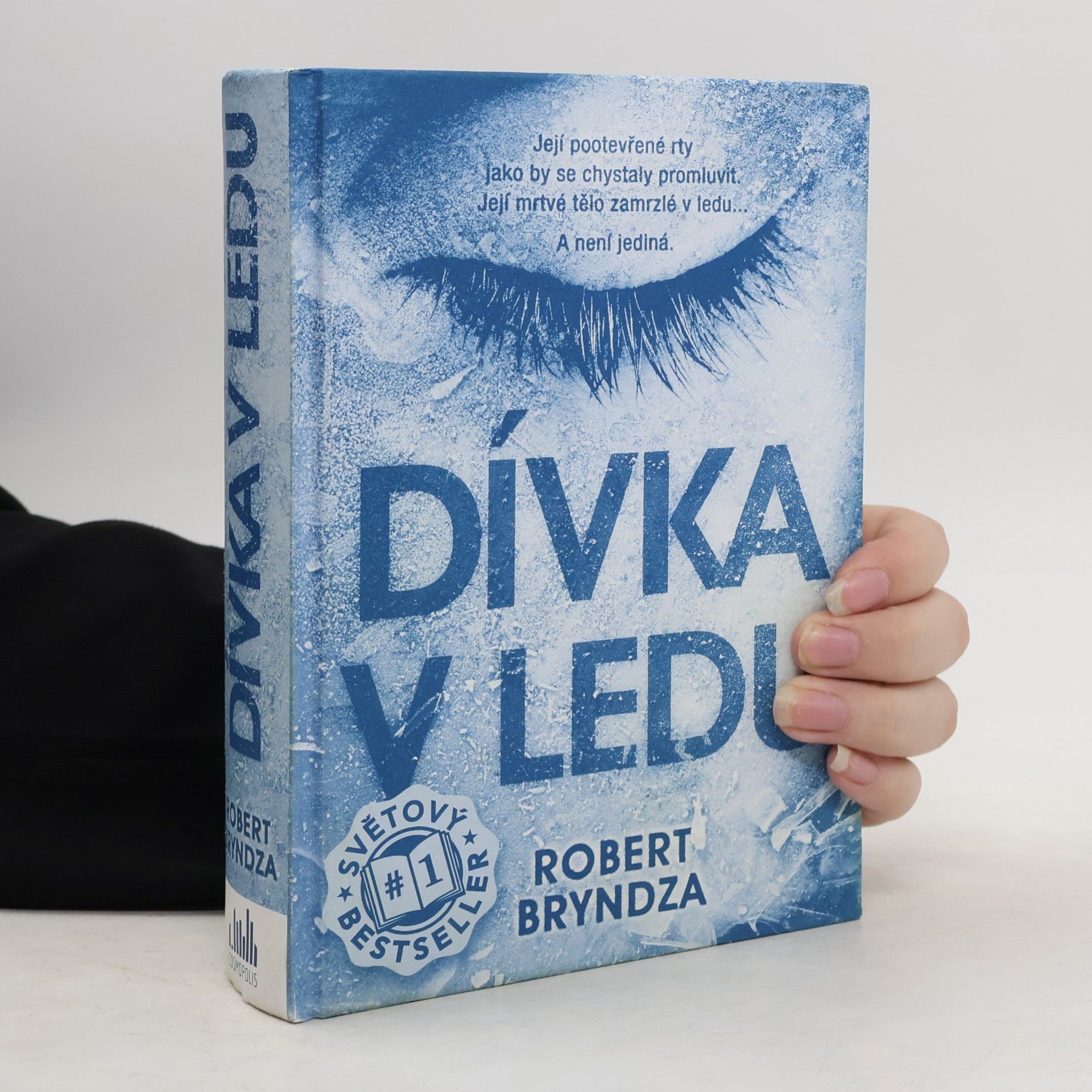 Robert Bryndza Dívka v ledu