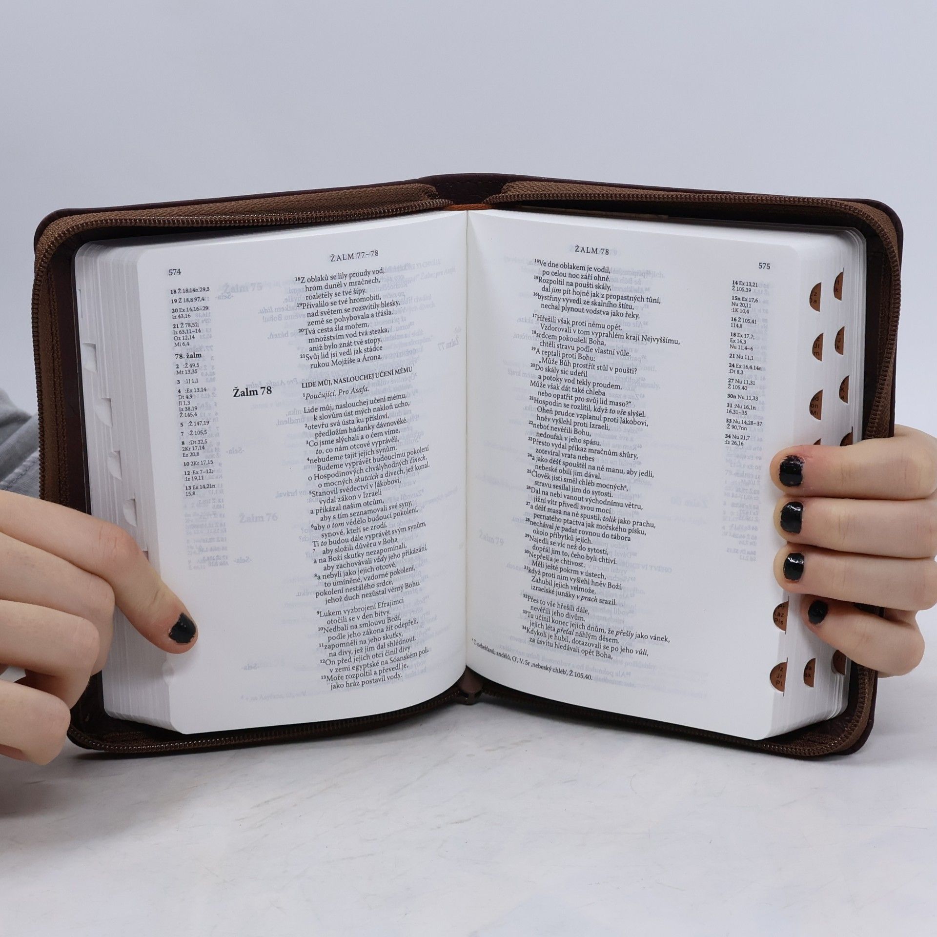 Various authors Bible