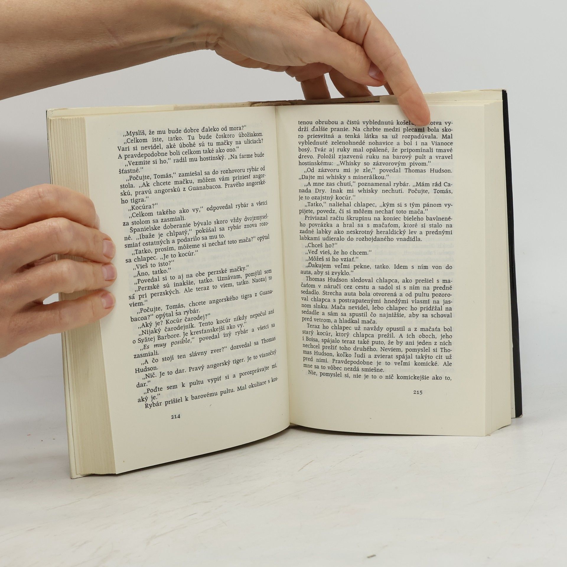 Ernest Hemingway Ostrovy v prúde