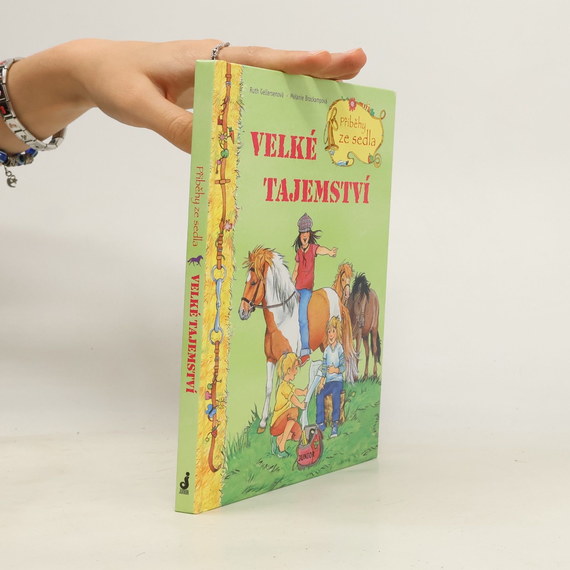 Ruth Gellersen Příběhy ze sedla. Velké tajemství