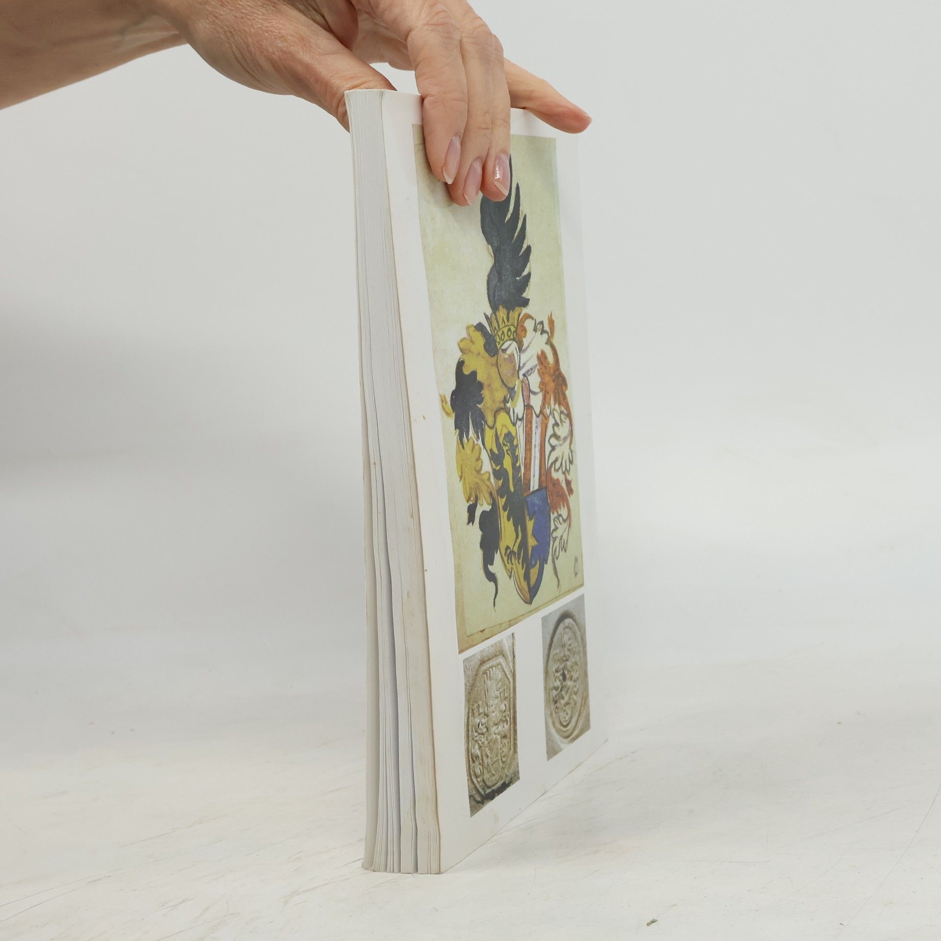 AA.VV. Genealogické a heraldické informace 2006