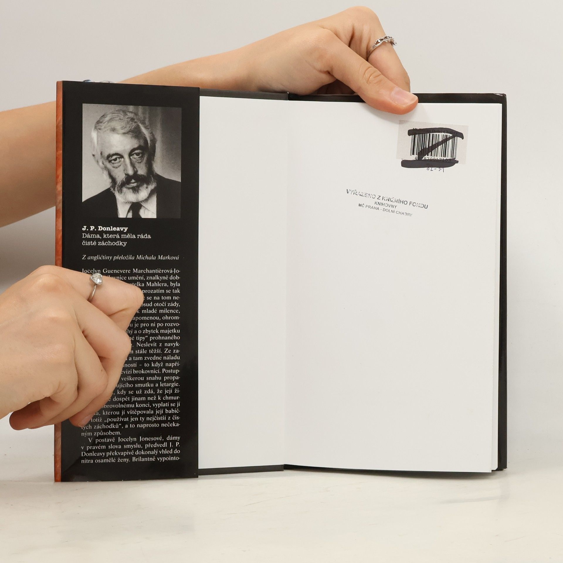 J. P. Donleavy Dáma, která měla ráda čisté záchodky