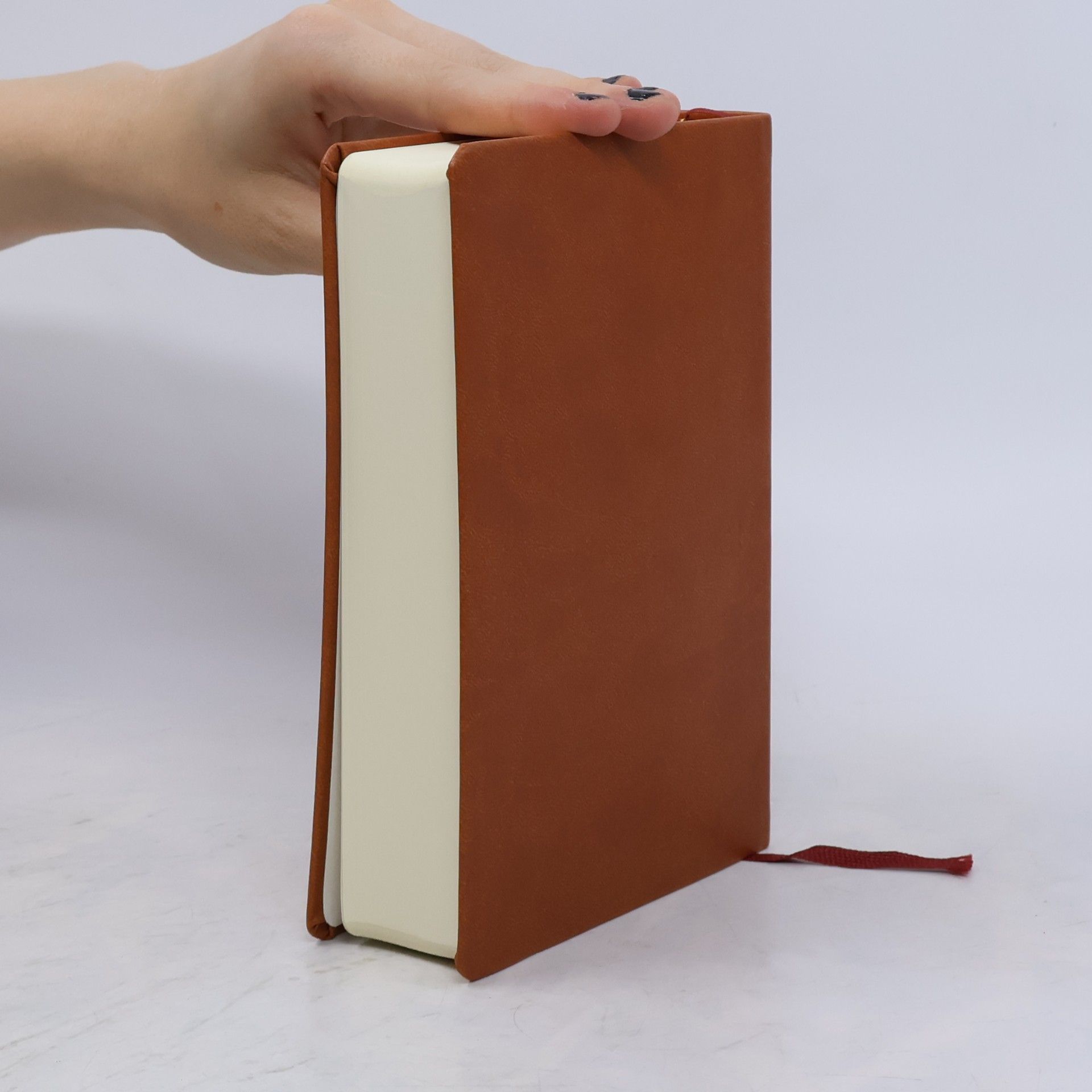 Autorenkollektiv Bible