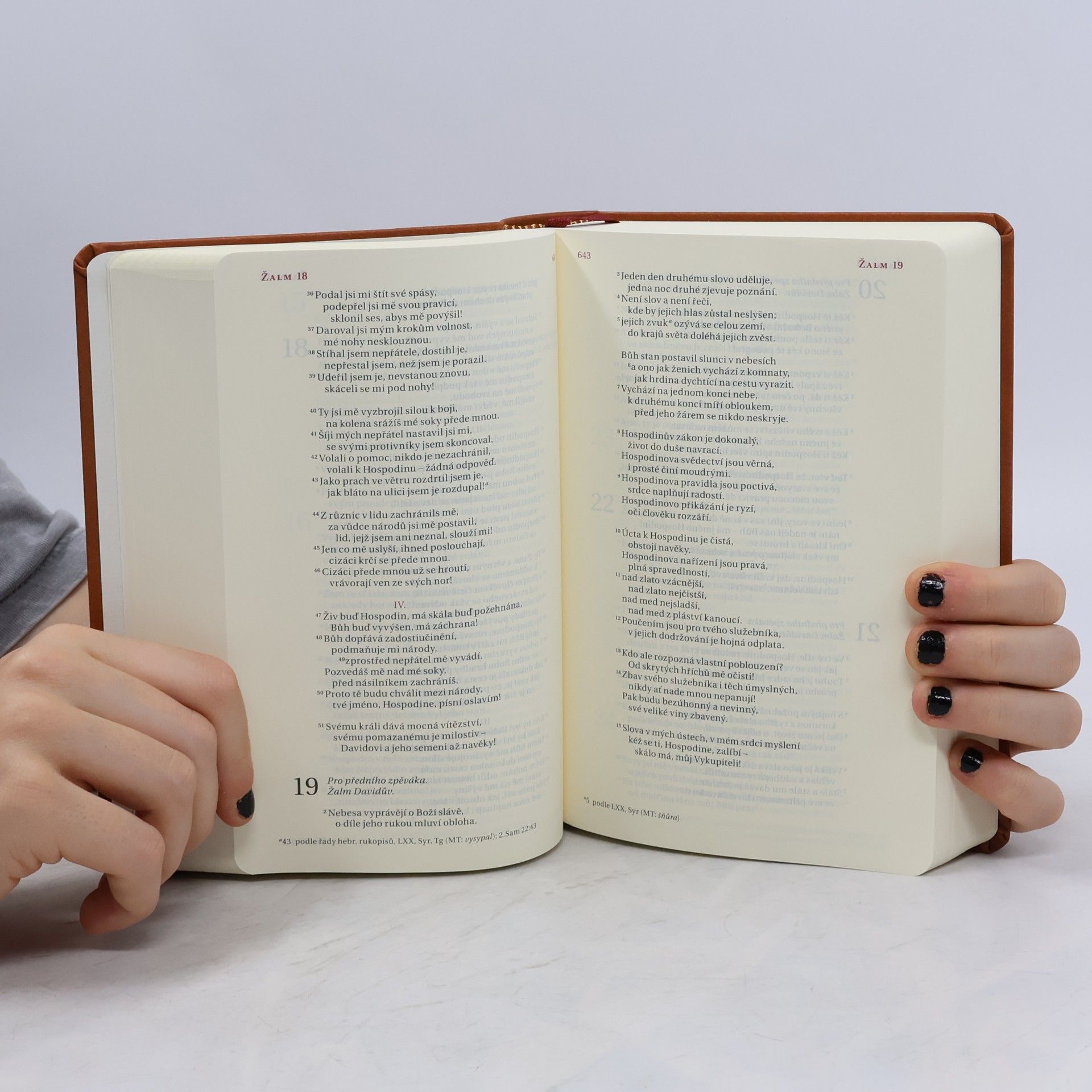 Autorenkollektiv Bible
