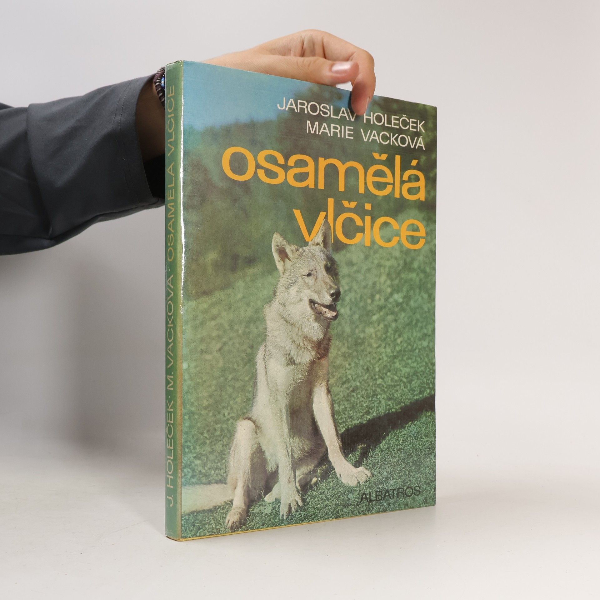 Jaroslav Holeček Osamělá vlčice