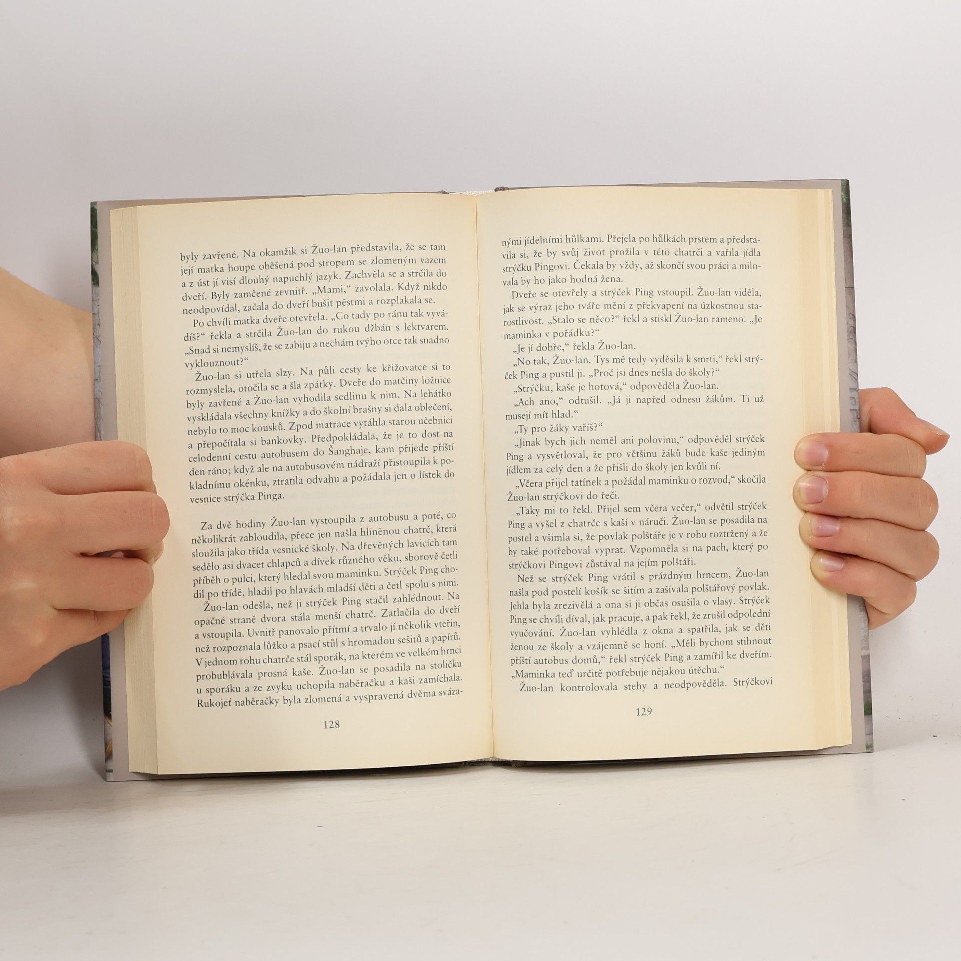 Yiyun Li Tisíc let vroucích modliteb