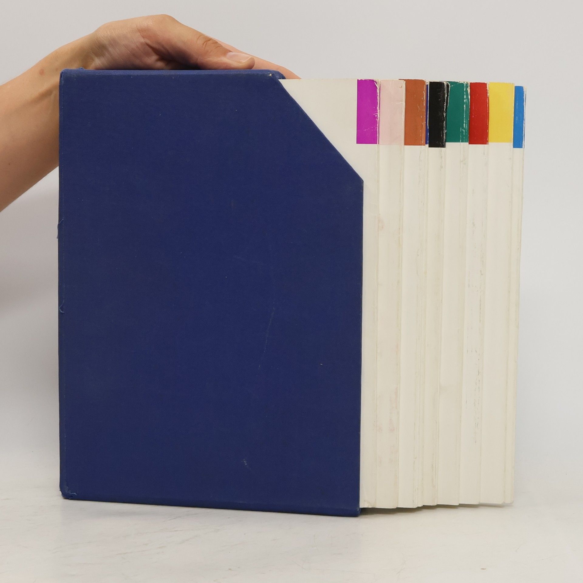 Autorenkollektiv Beyer's Lehrbuch der Handarbeiten 1-9