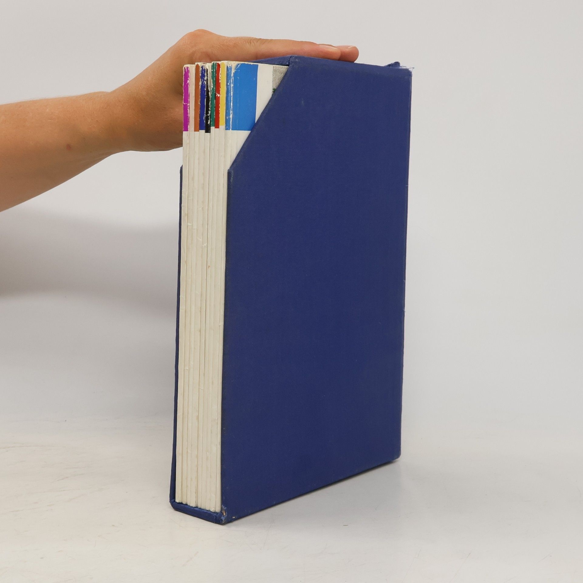 Autorenkollektiv Beyer's Lehrbuch der Handarbeiten 1-9