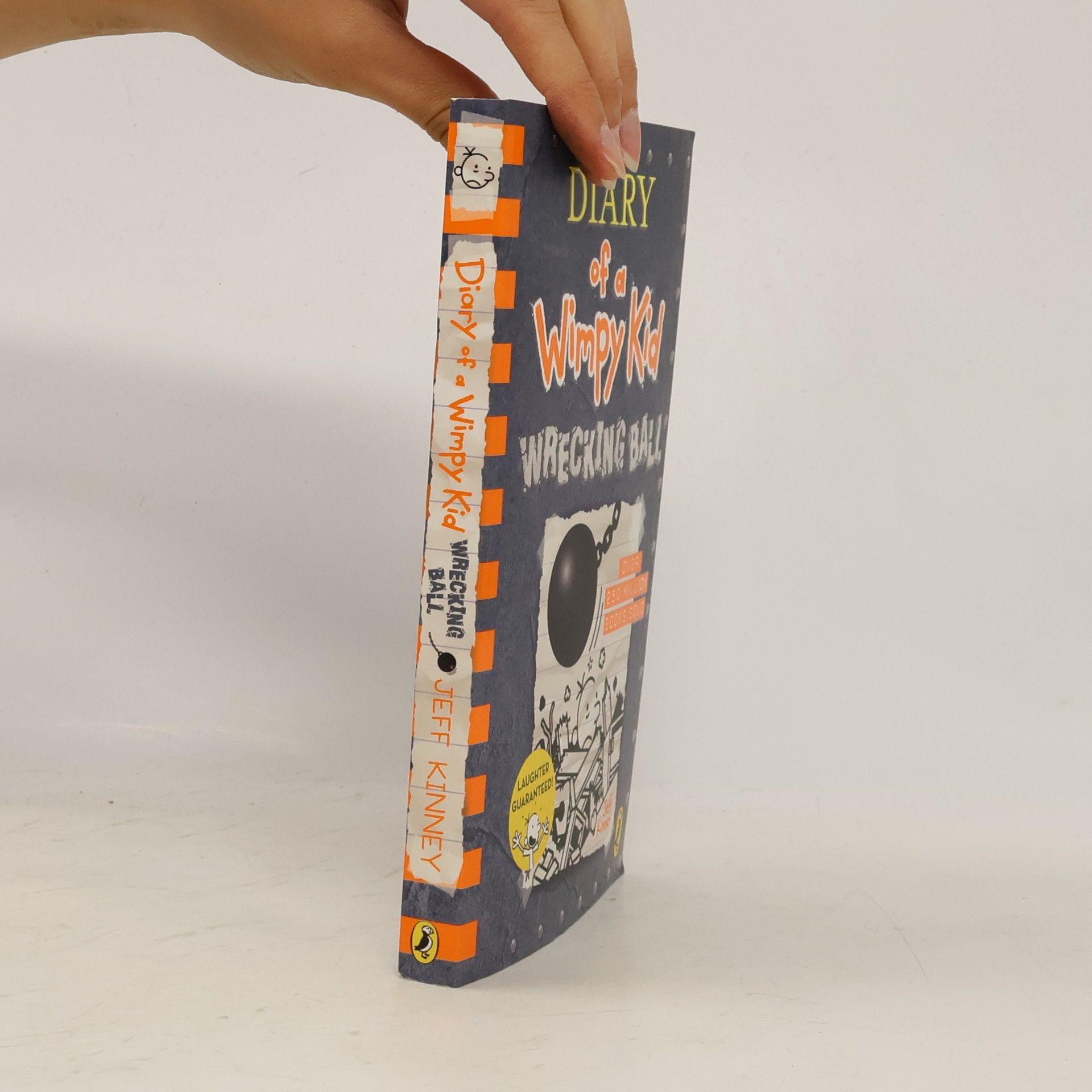 Jeff Kinney Diary of a Wimpy Kid: Wrecking Ball