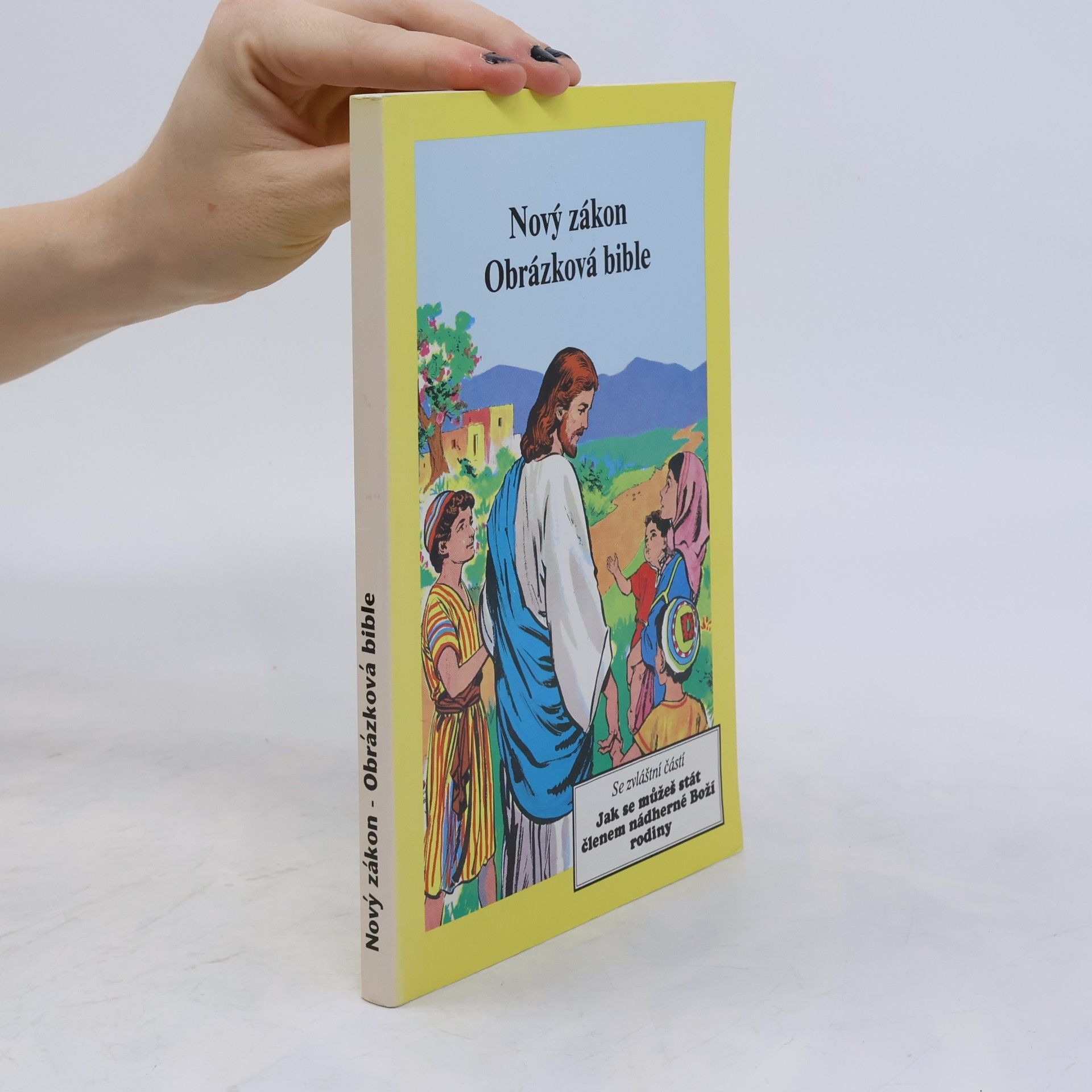 Kolektiv autorů Nový zákon Obrázková bible