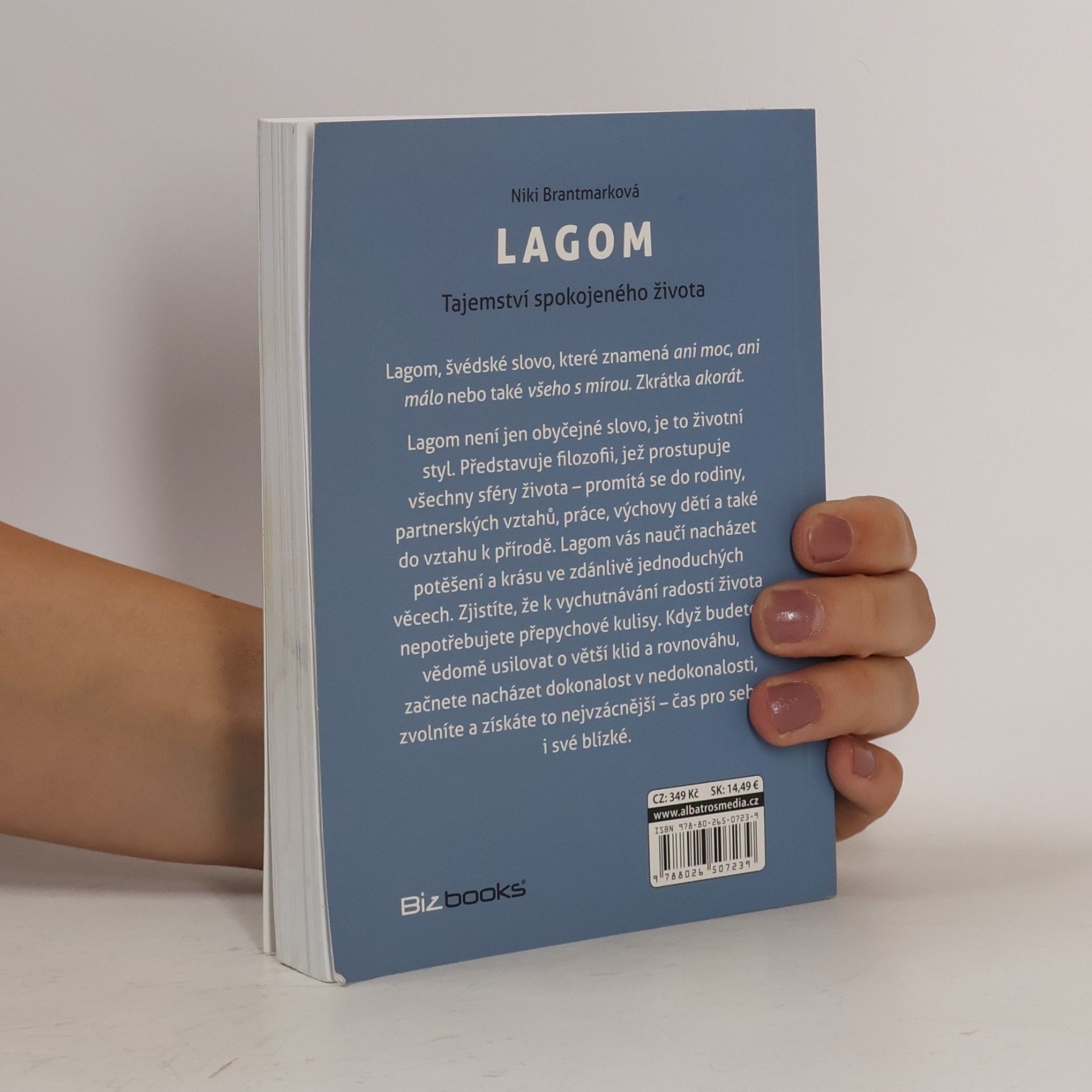 Niki Brantmark Lagom