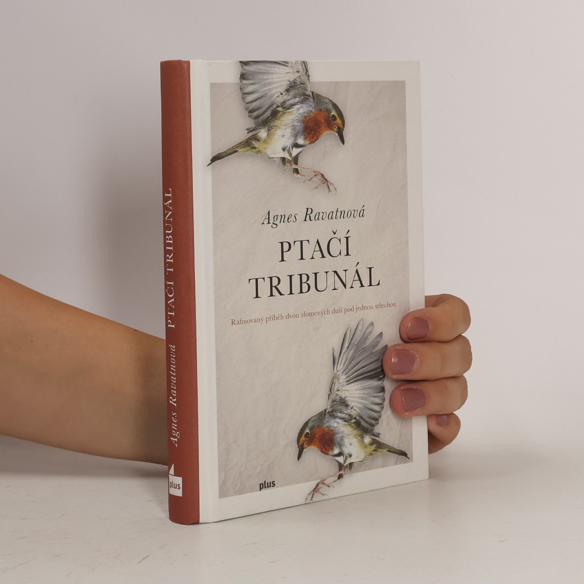Agnes Ravatn Ptačí tribunál