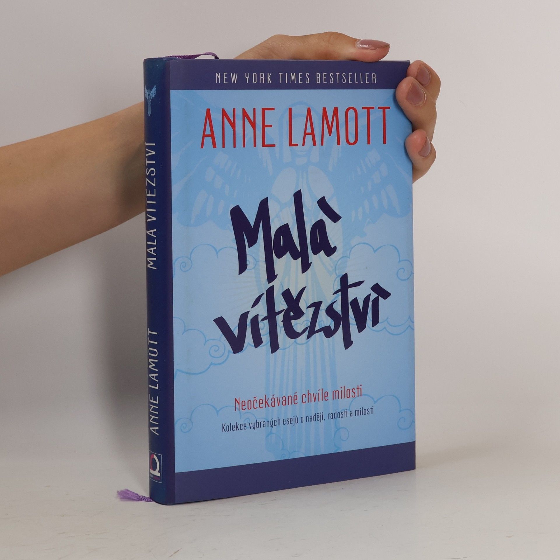 Anne Lamott Malá vítězství