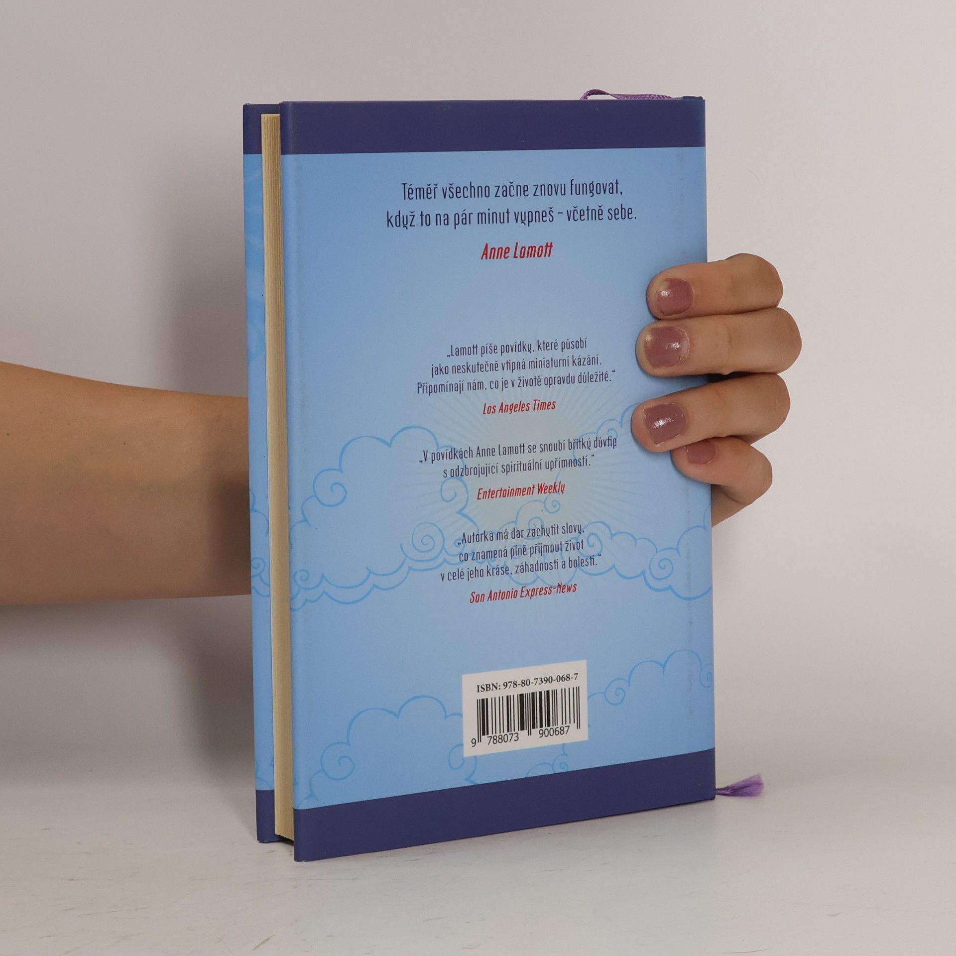 Anne Lamott Malá vítězství
