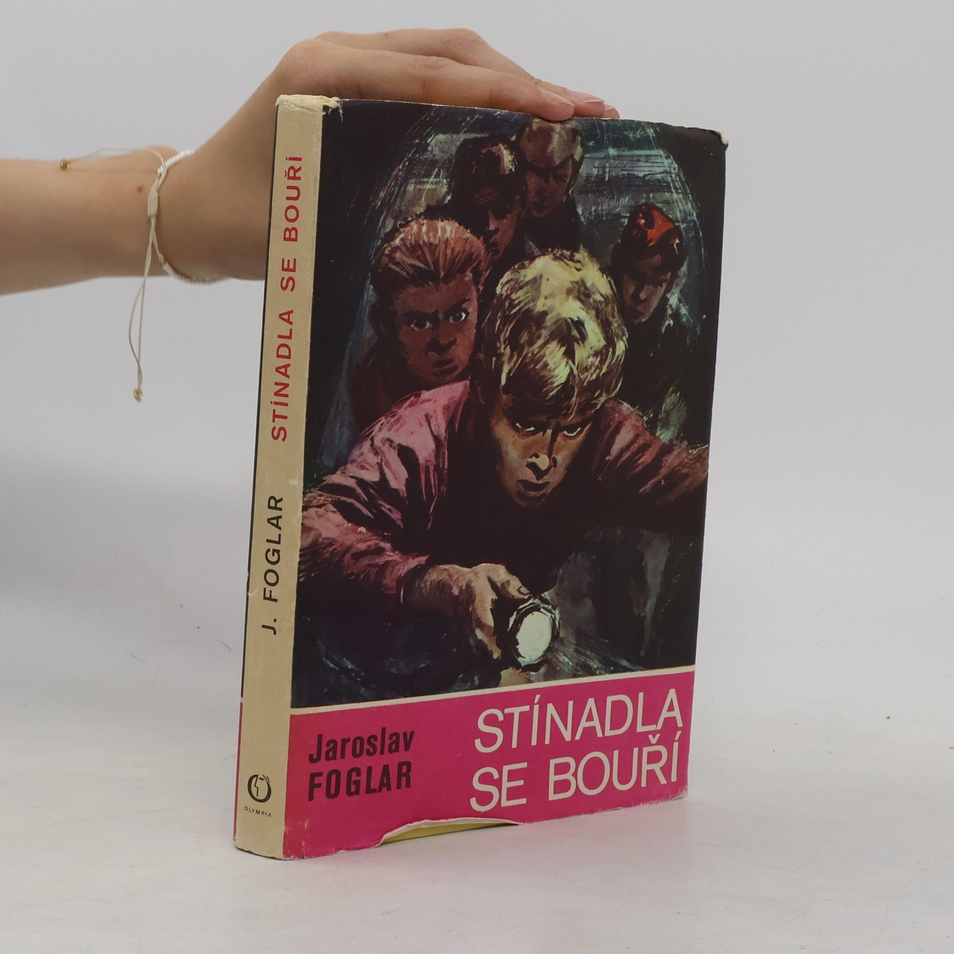 Jaroslav Foglar Stínadla se bouří