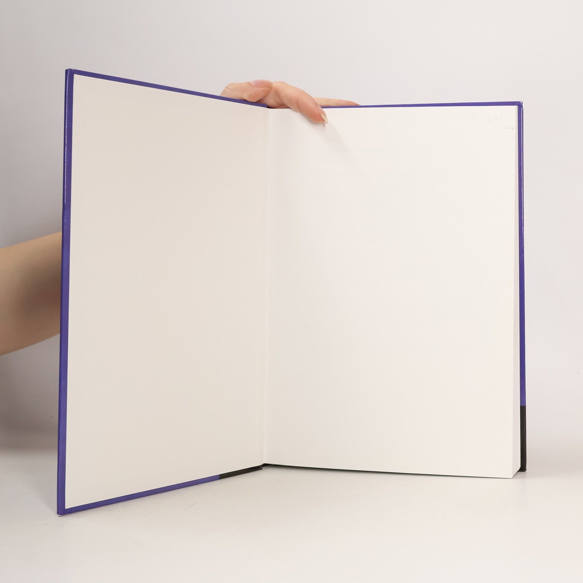 Norman Epstein Spouted and Spout-Fluid Beds