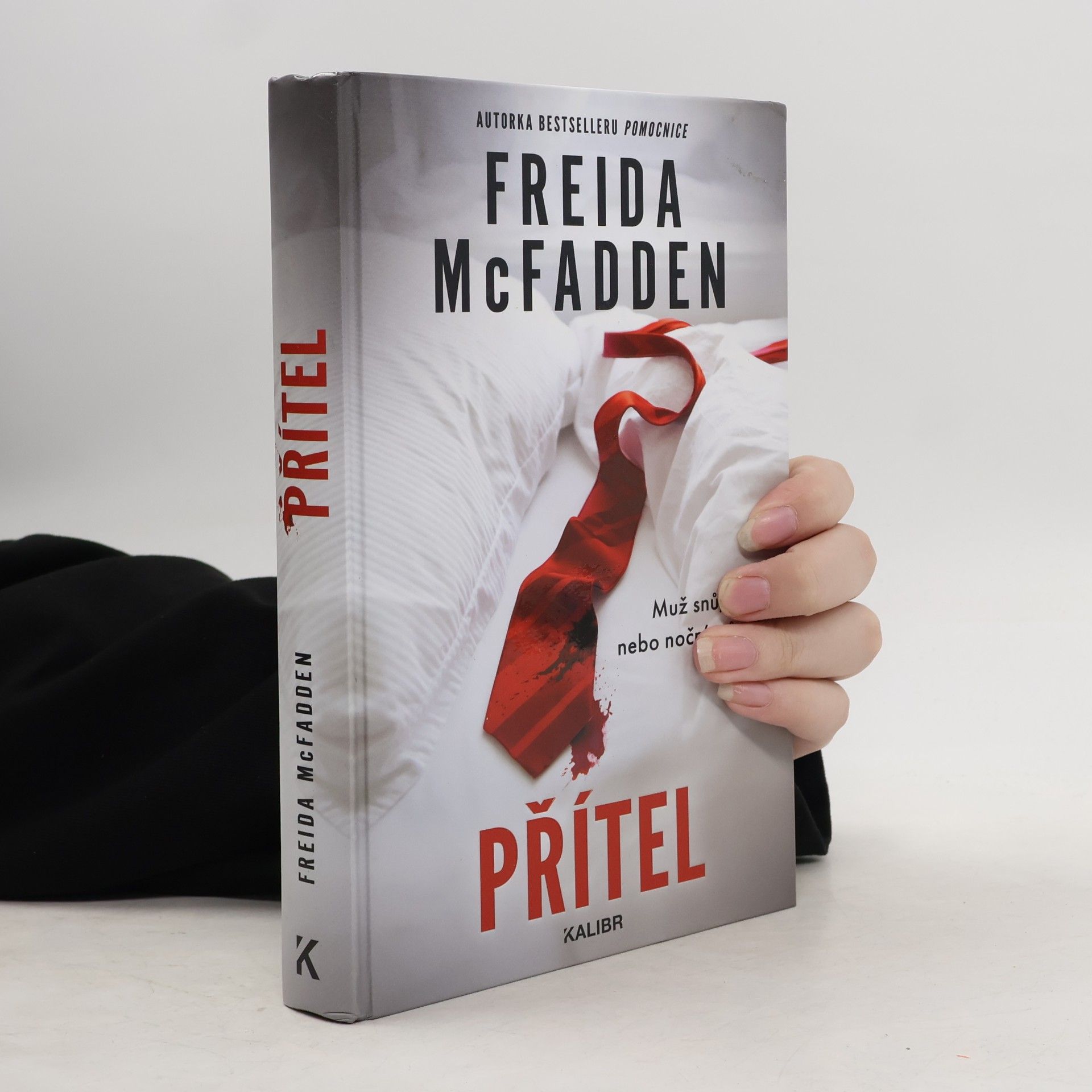 Freida McFadden Přítel