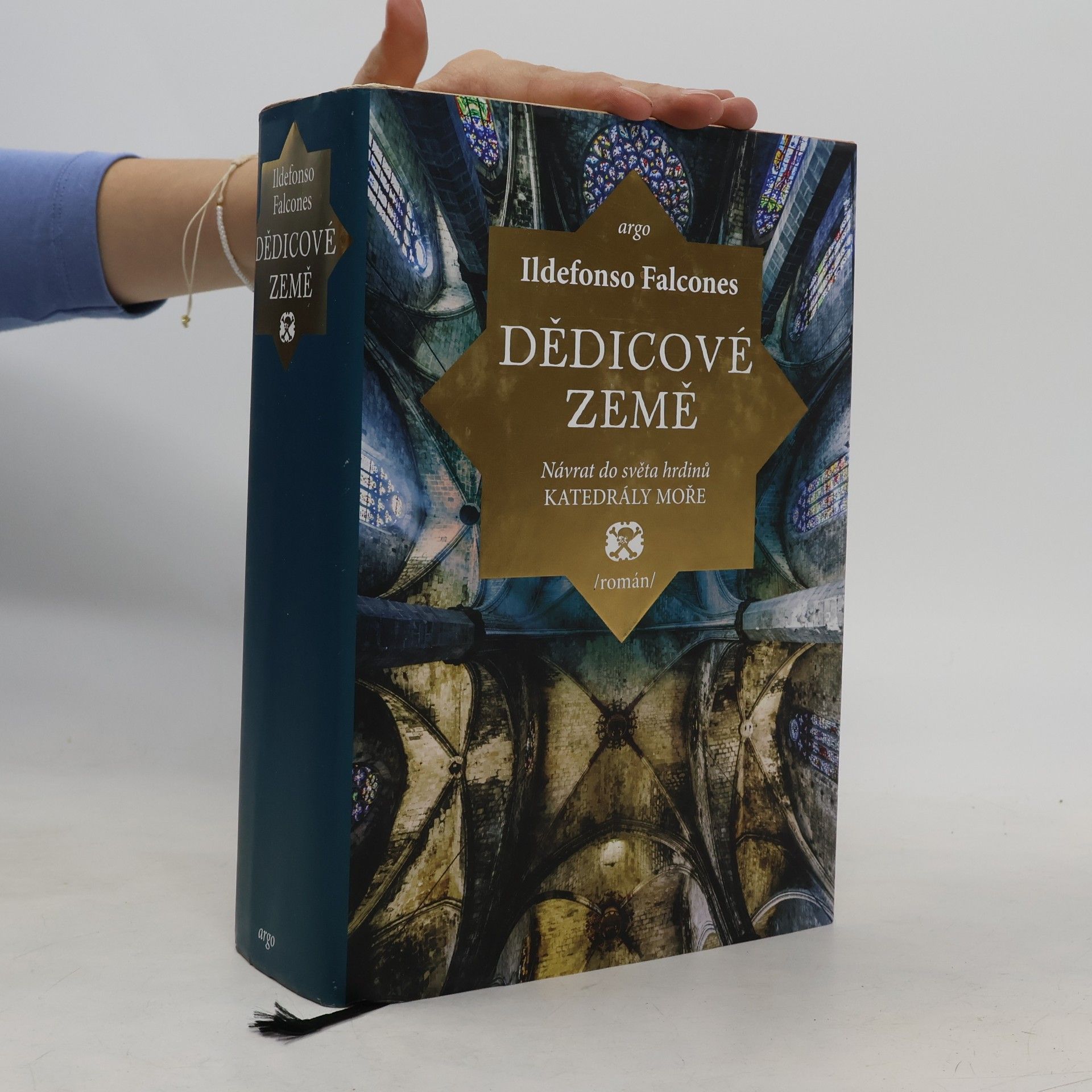 Ildefonso Falcones Dědicové země