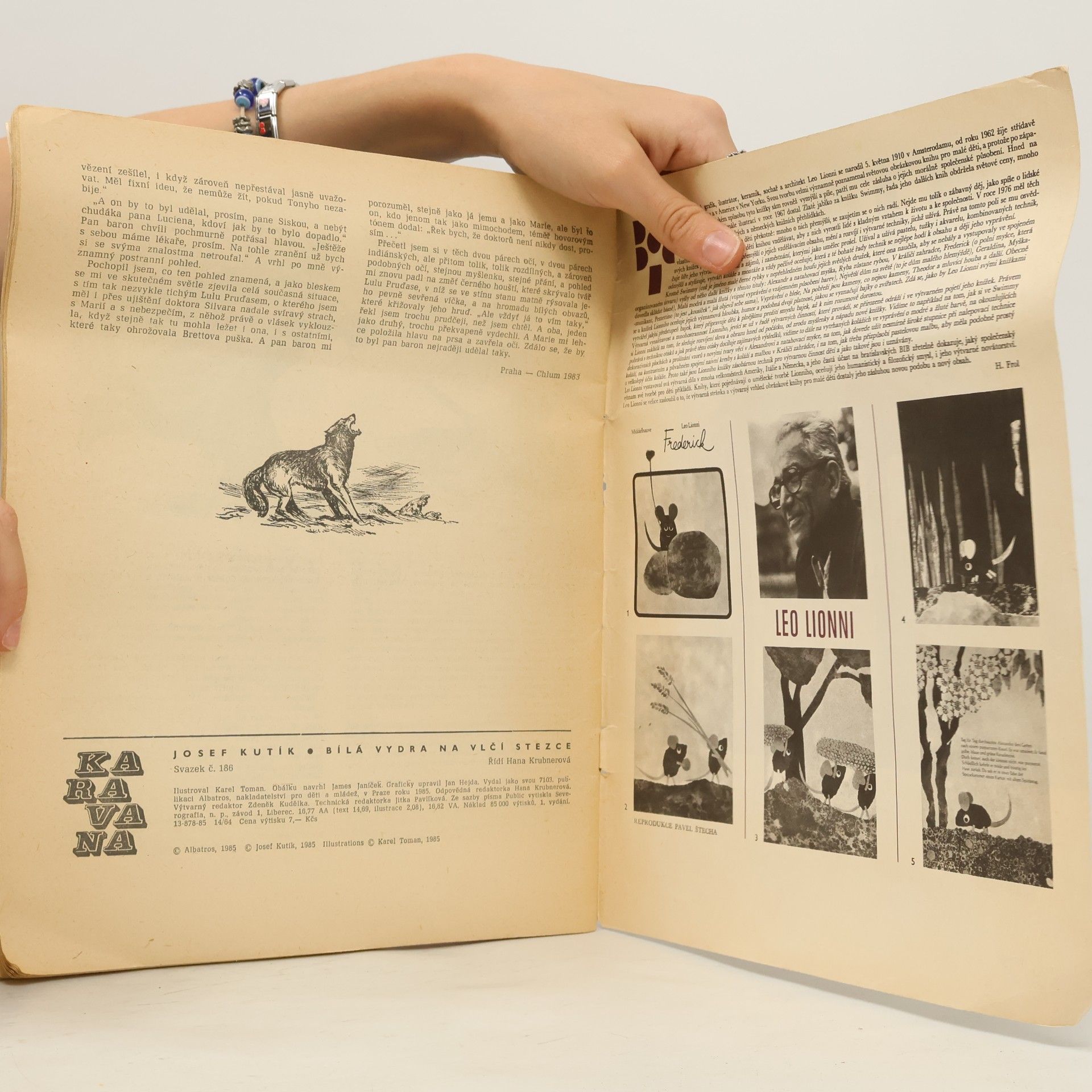 Josef Kutík Karavana č. 186. Bílá vydra na vlčí stezce