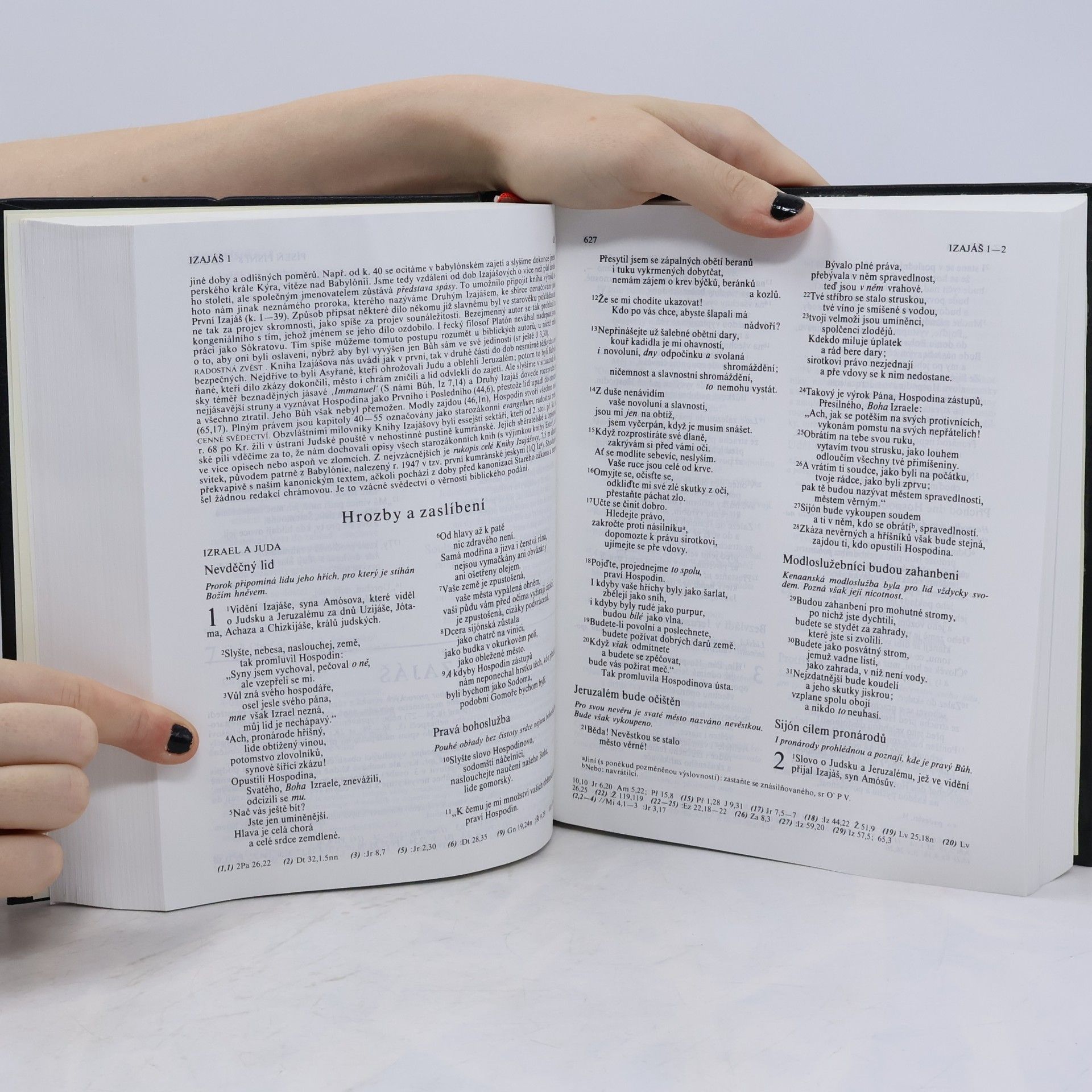 Various authors Bible: Písmo svaté Starého a Nového zákona