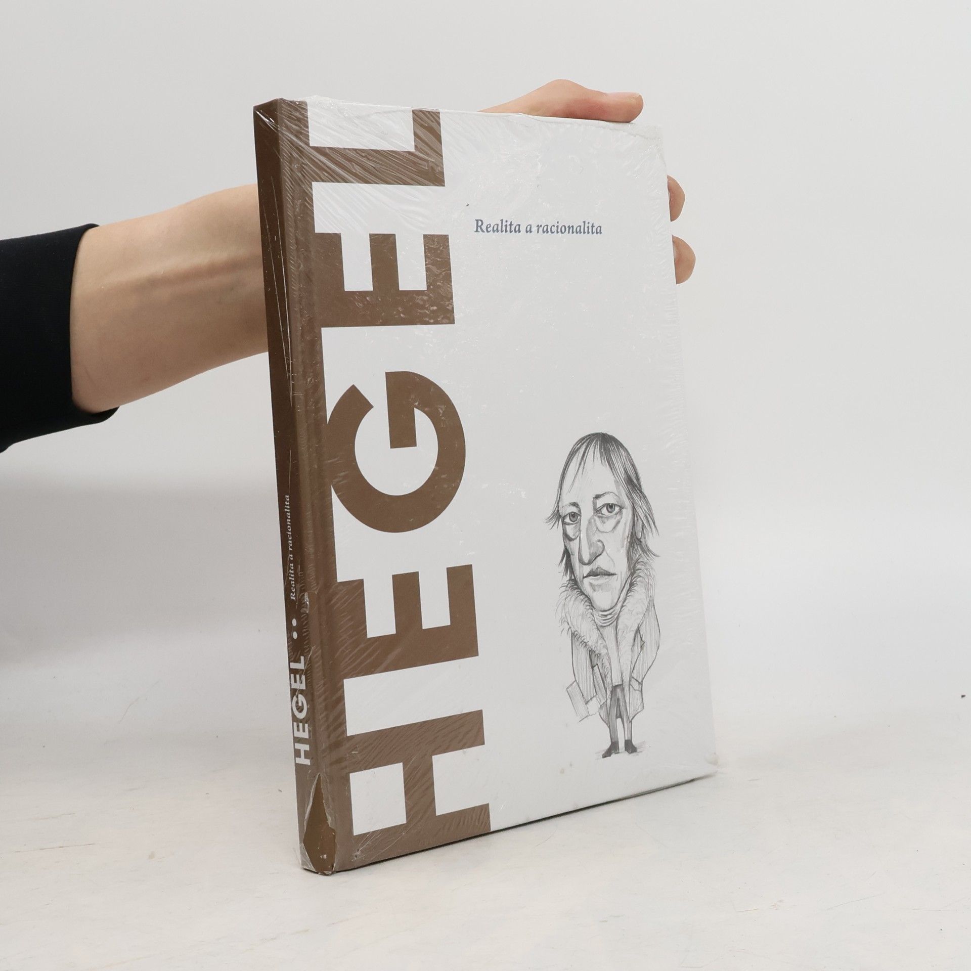 Kolektiv autorů Hegel. Realita a racionalita