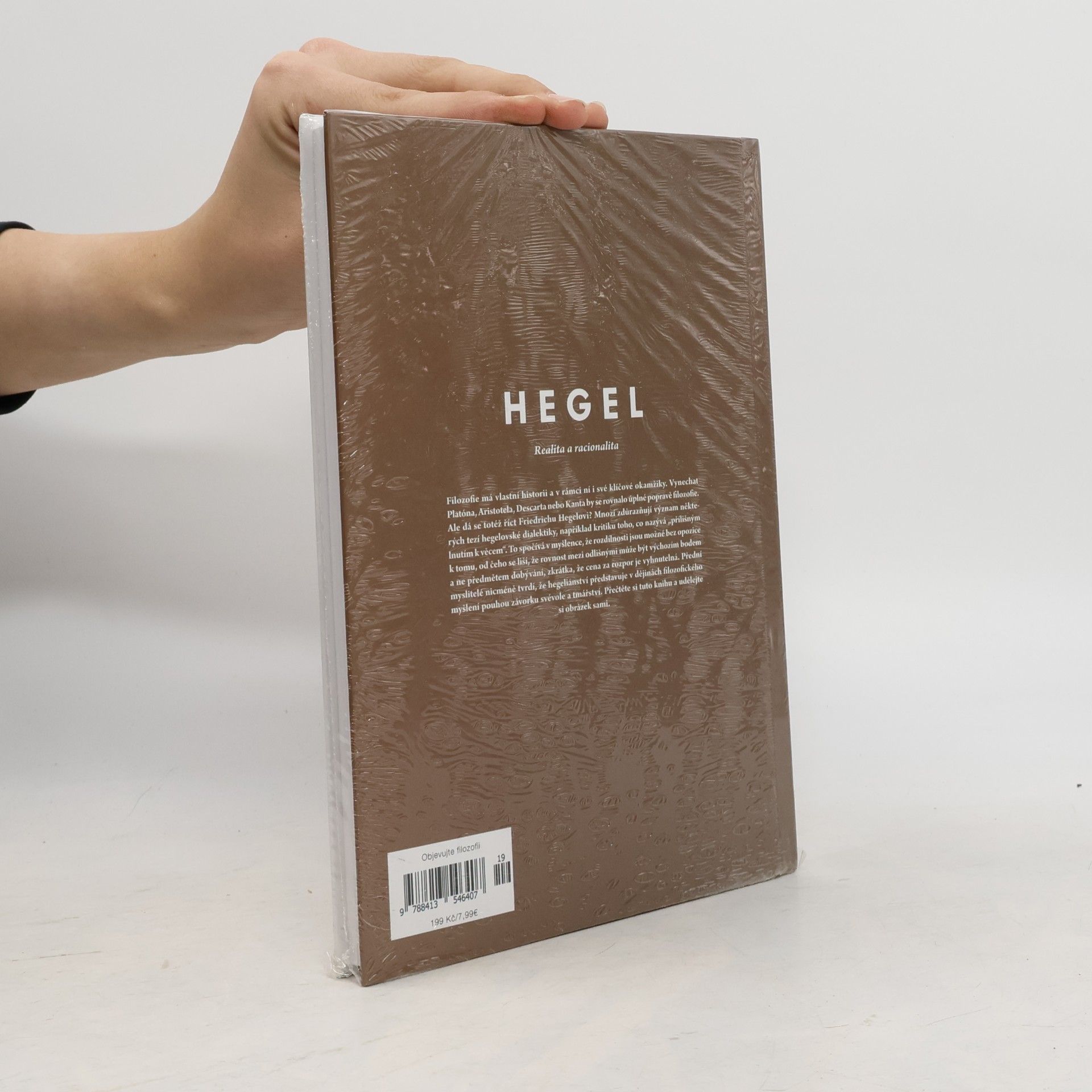 Kolektiv autorů Hegel. Realita a racionalita