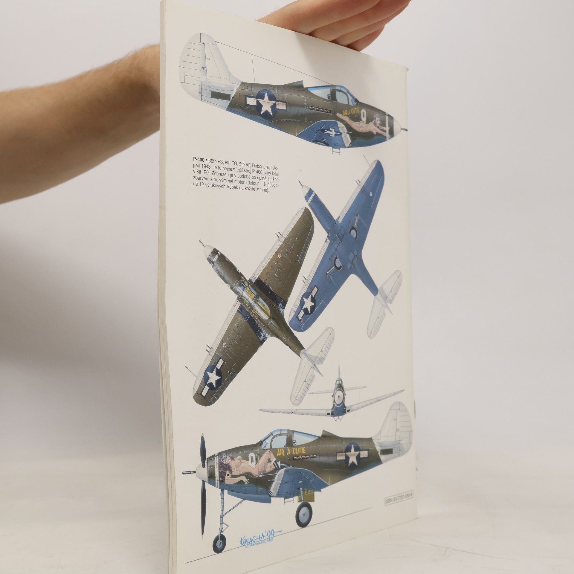Jacek Tomalik Bell P-39 Airacobra
