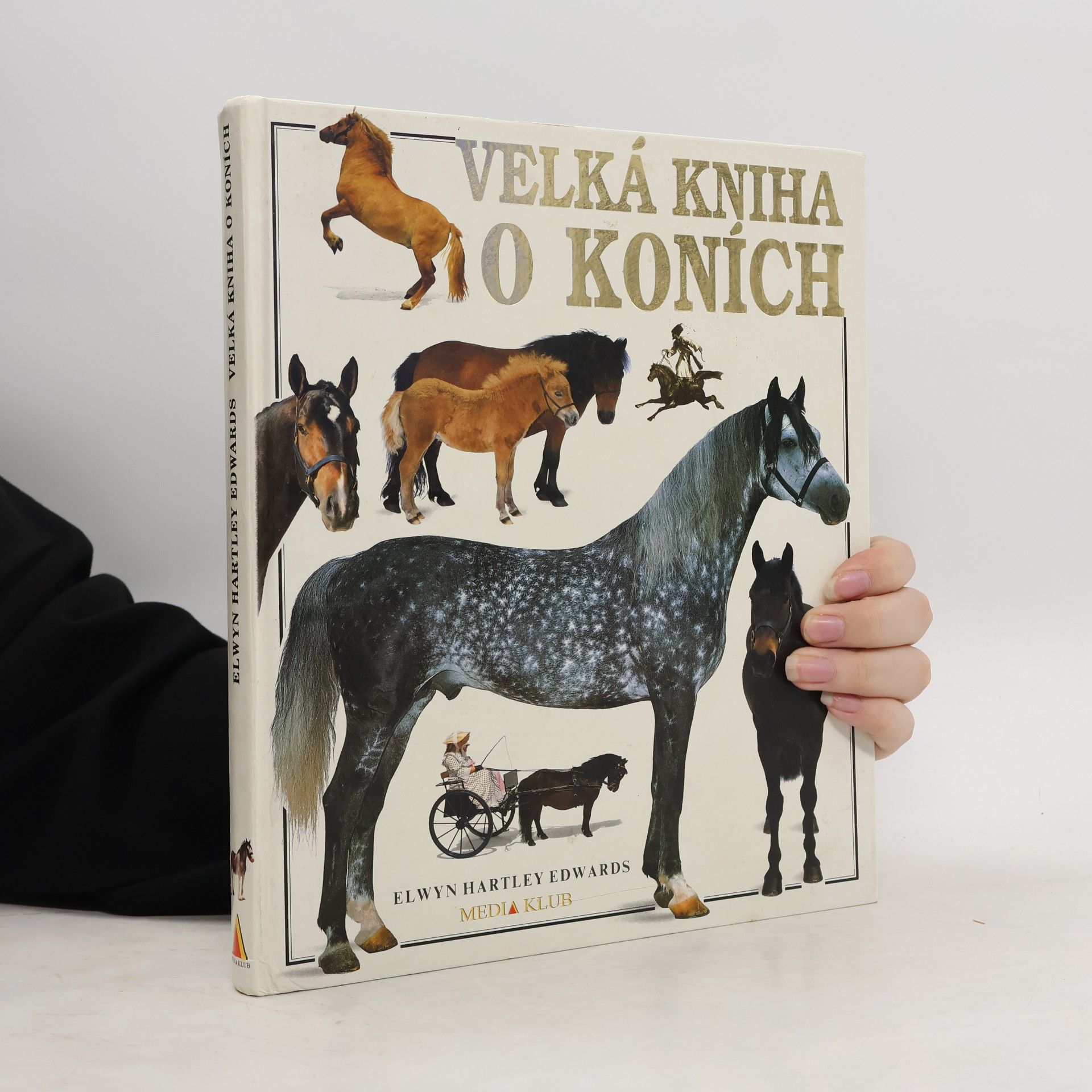 Elwyn Hartley Edwards Velká kniha o koních