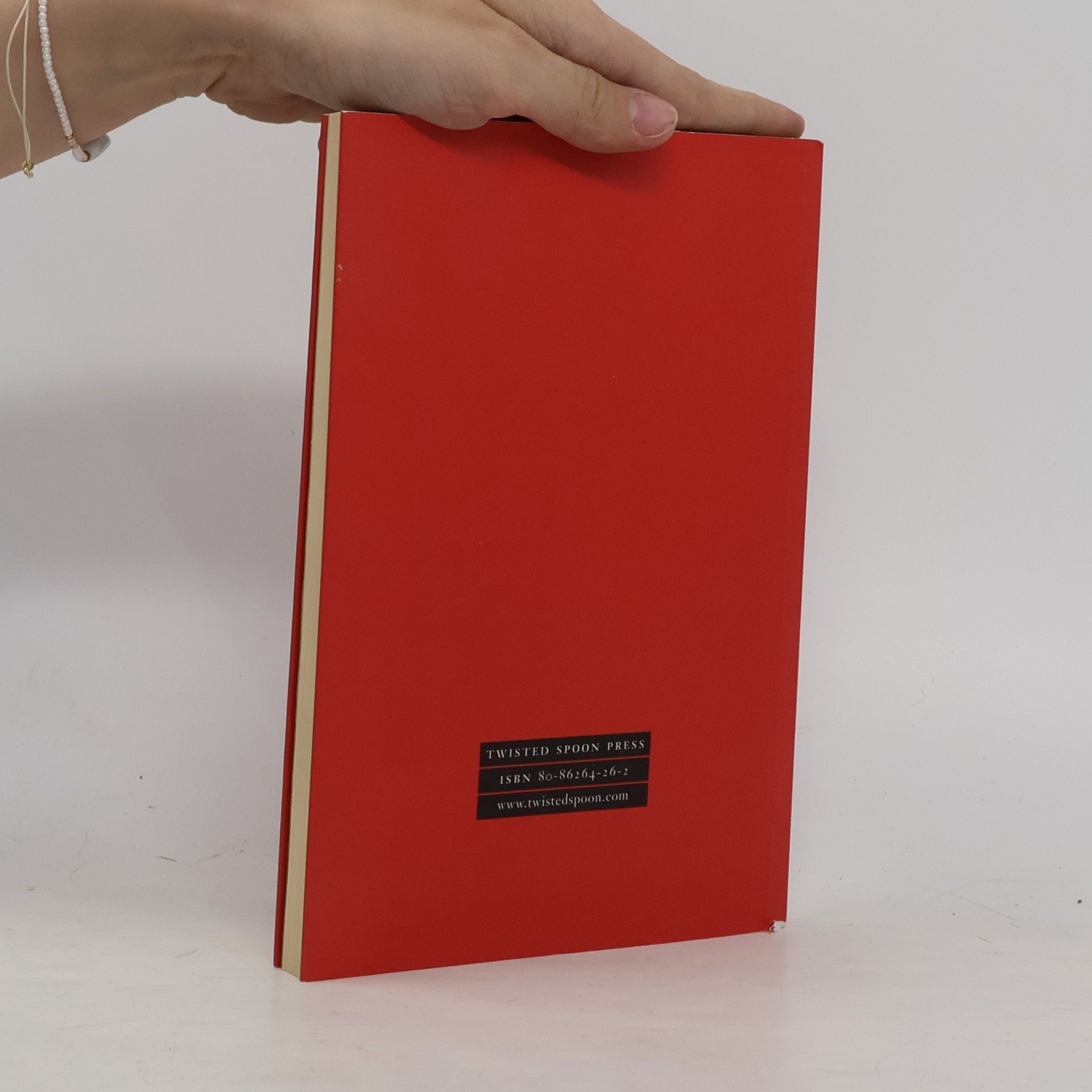 Pavel Zajíček Time Is a Mid-Night Scream: Fragments from the 1990s