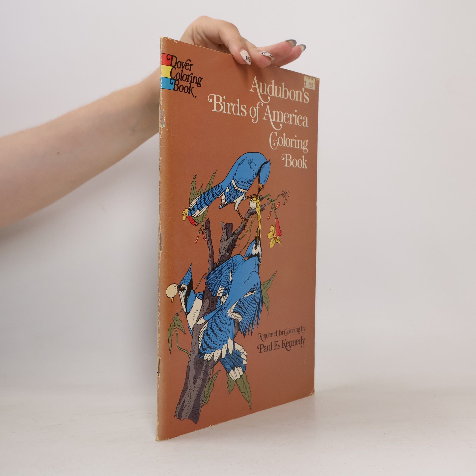 Kolektiv autorů Audubon's Birds of America