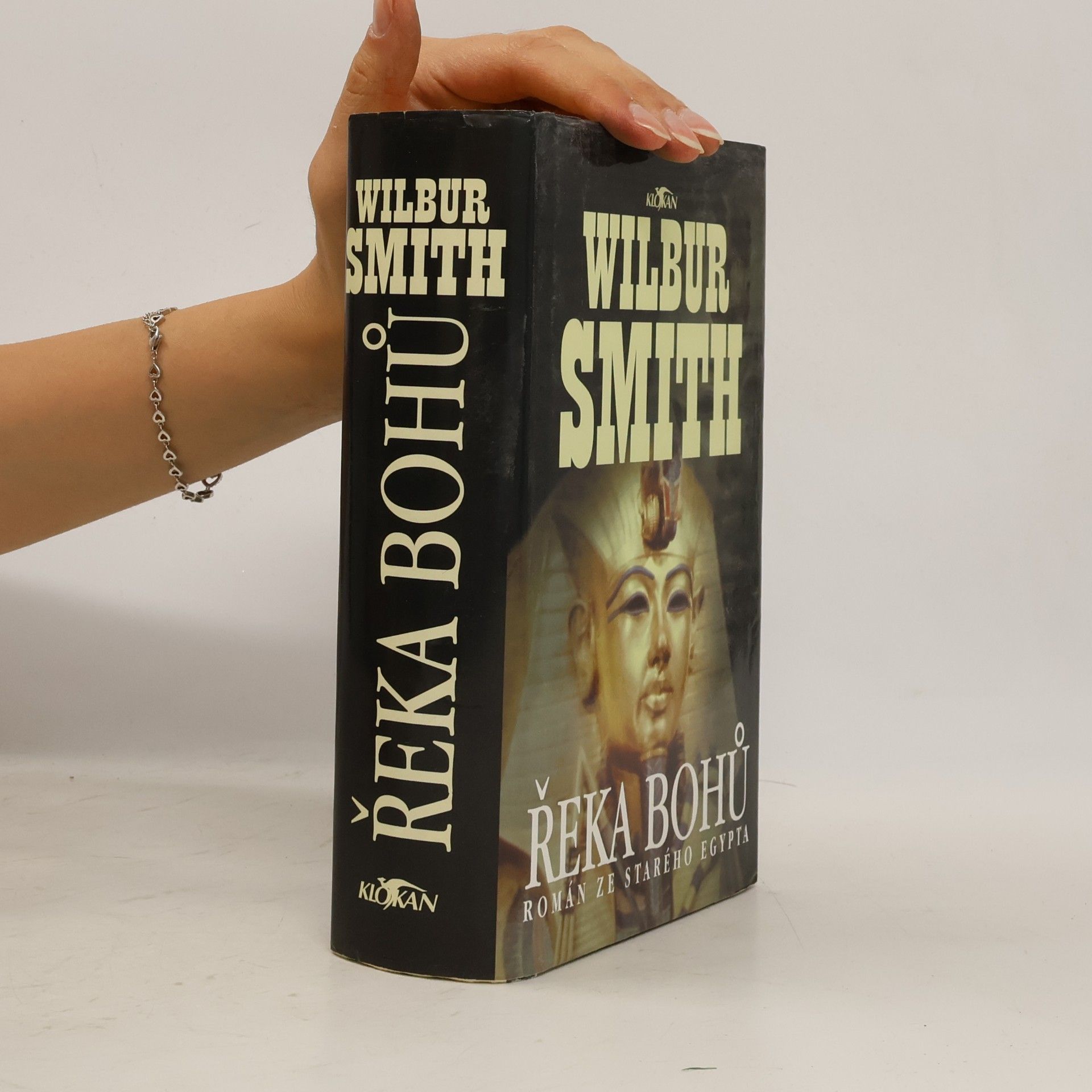 Wilbur Smith Řeka bohů
