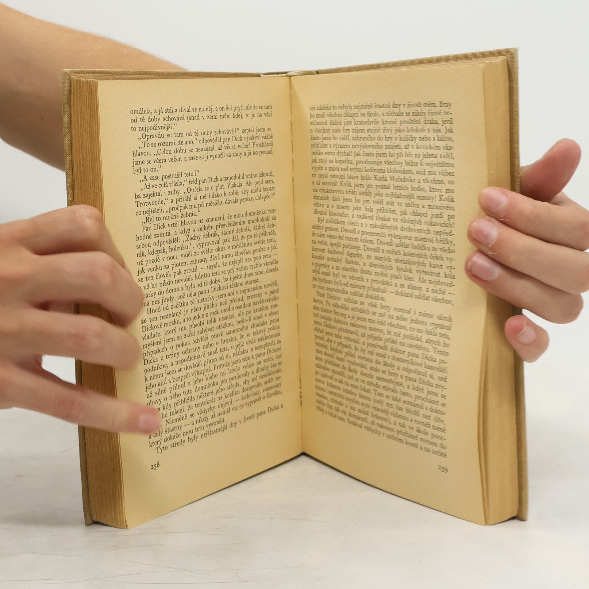 Charles Dickens David Copperfield I