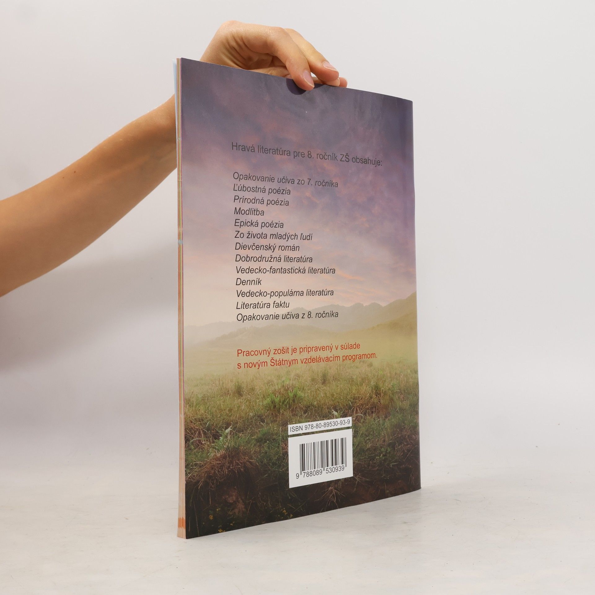 Autorenkollektiv Hravá literatúra 8 PZ