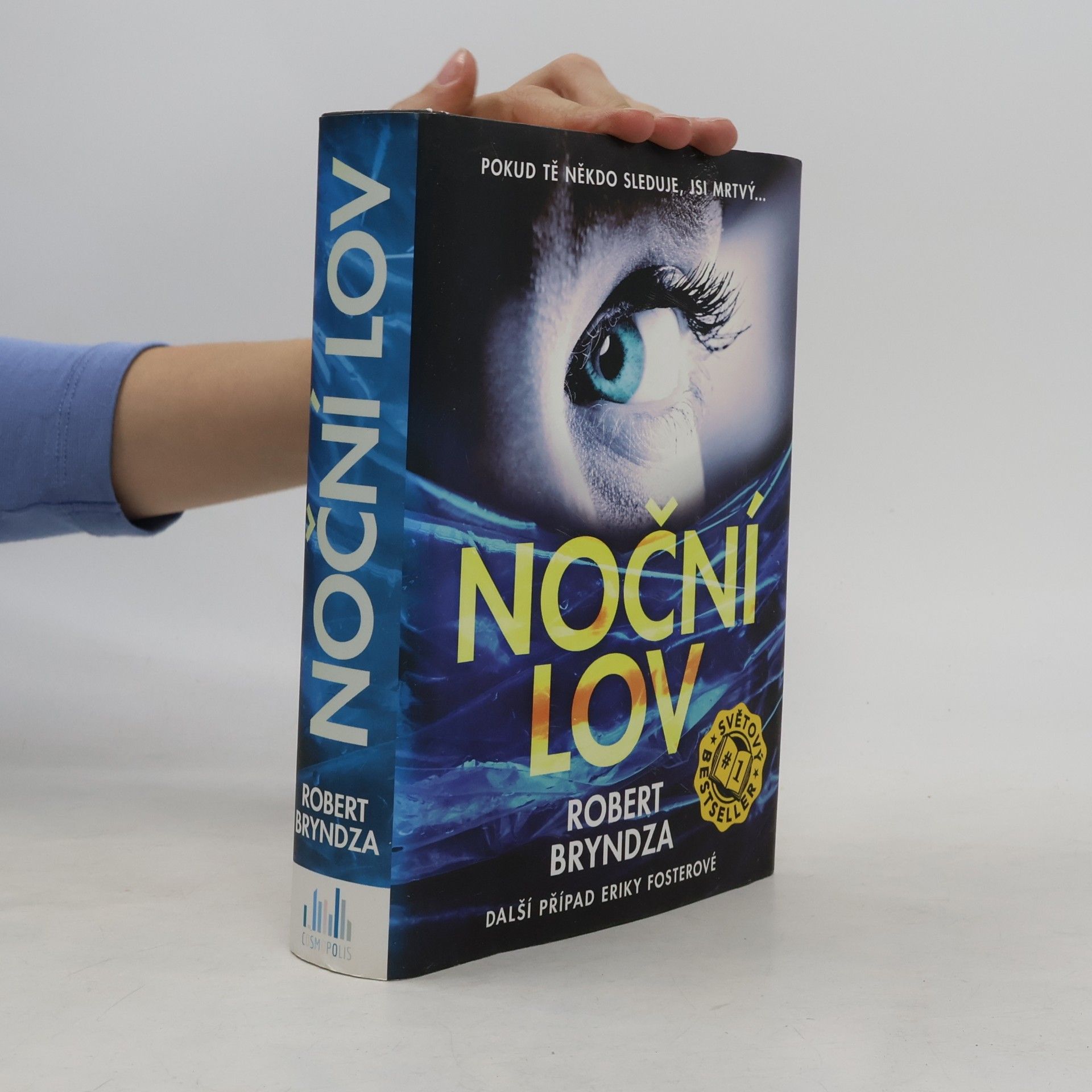 Robert Bryndza Noční lov