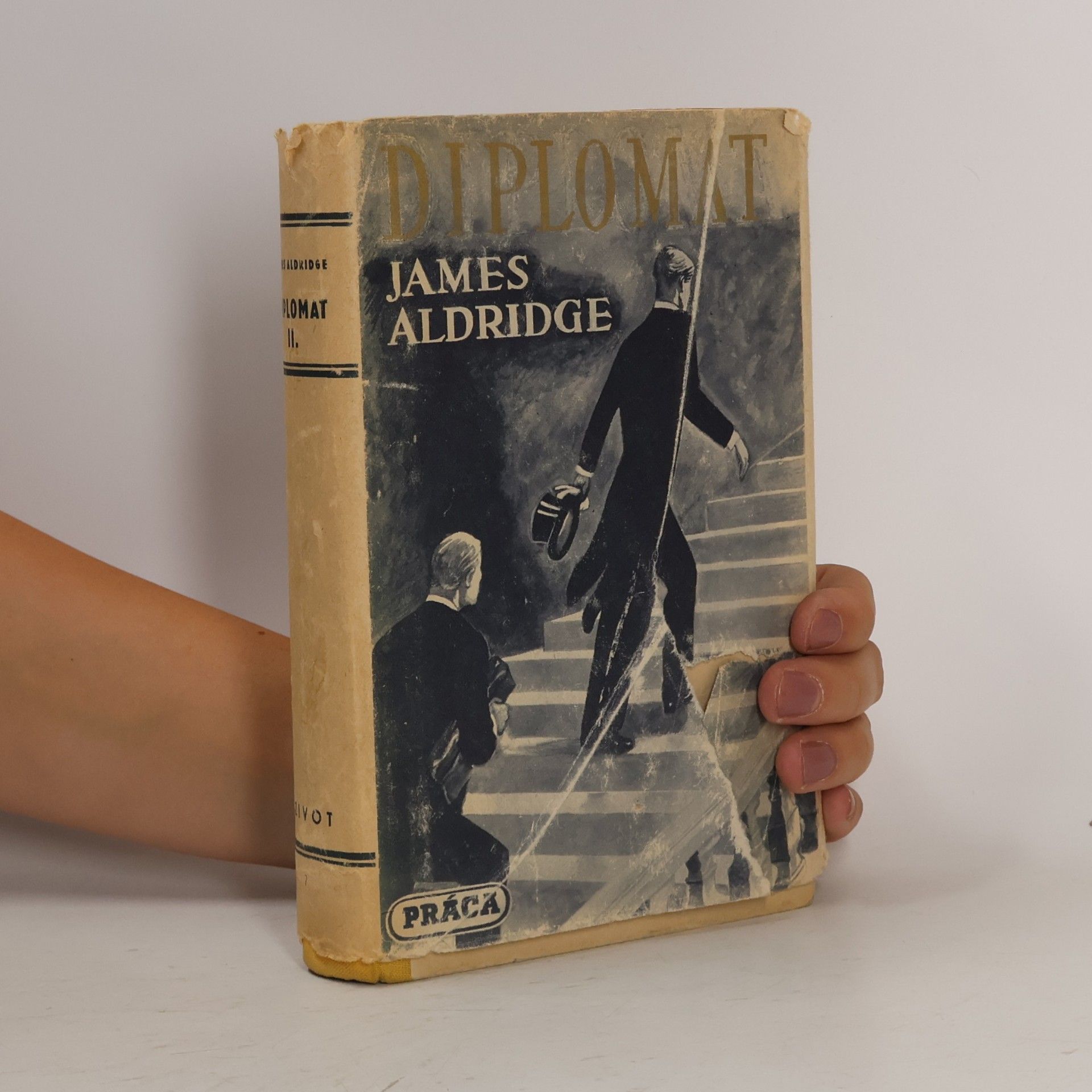 James Aldridge Diplomat 2