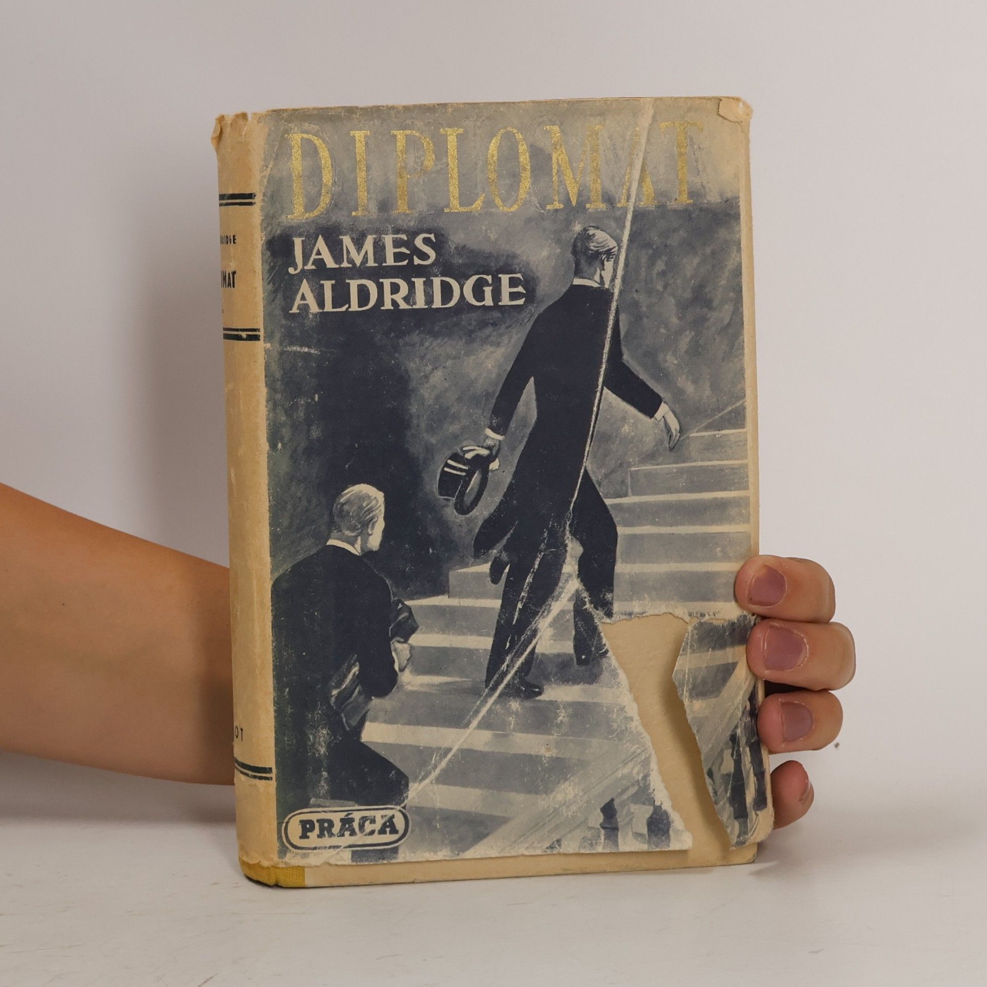 James Aldridge Diplomat 2