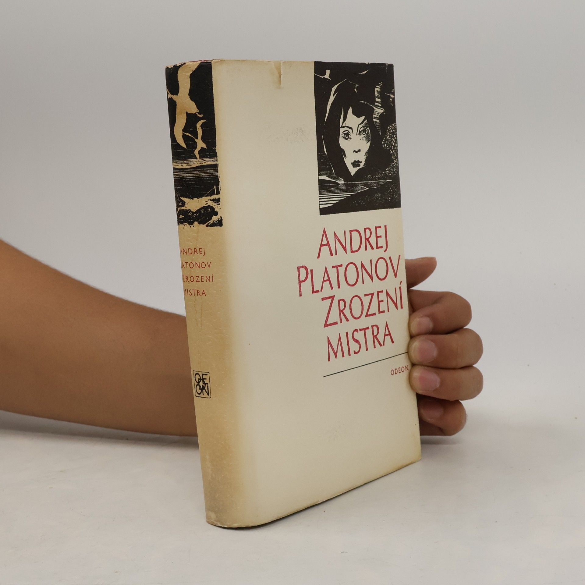 Andrei Platonowitsch Platonow Zrození mistra