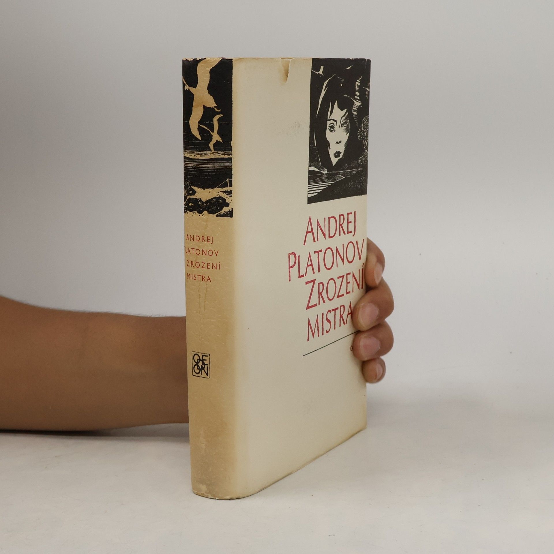 Andrei Platonowitsch Platonow Zrození mistra