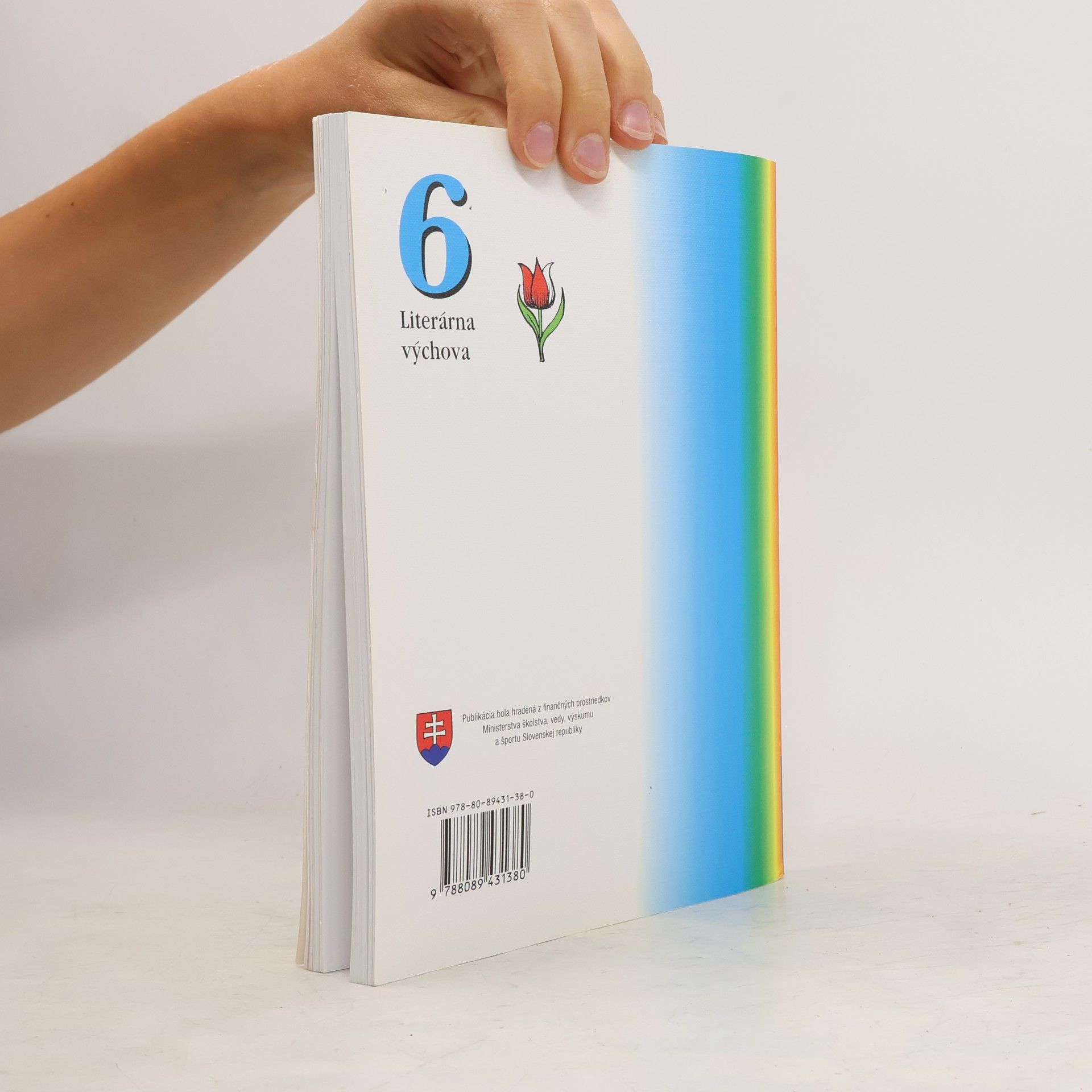 Autorenkollektiv Literárna výchova pre 6. ročník základných škôl 6