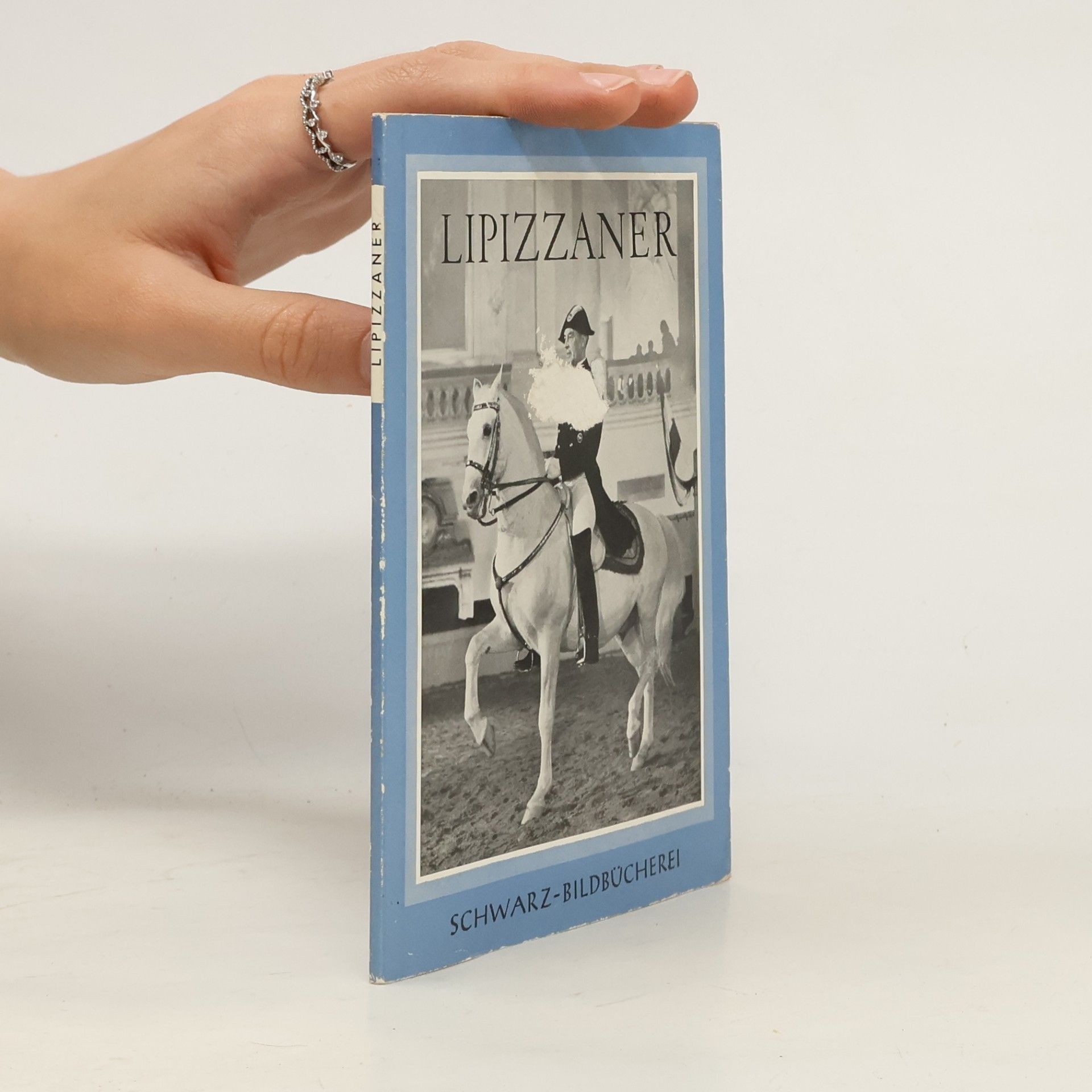 Autorenkollektiv Lipizzaner