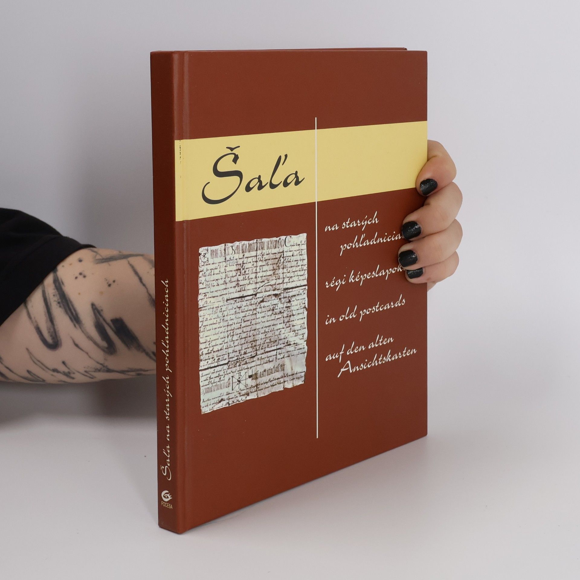 Autorenkollektiv Šaľa na starých pohľadniciach