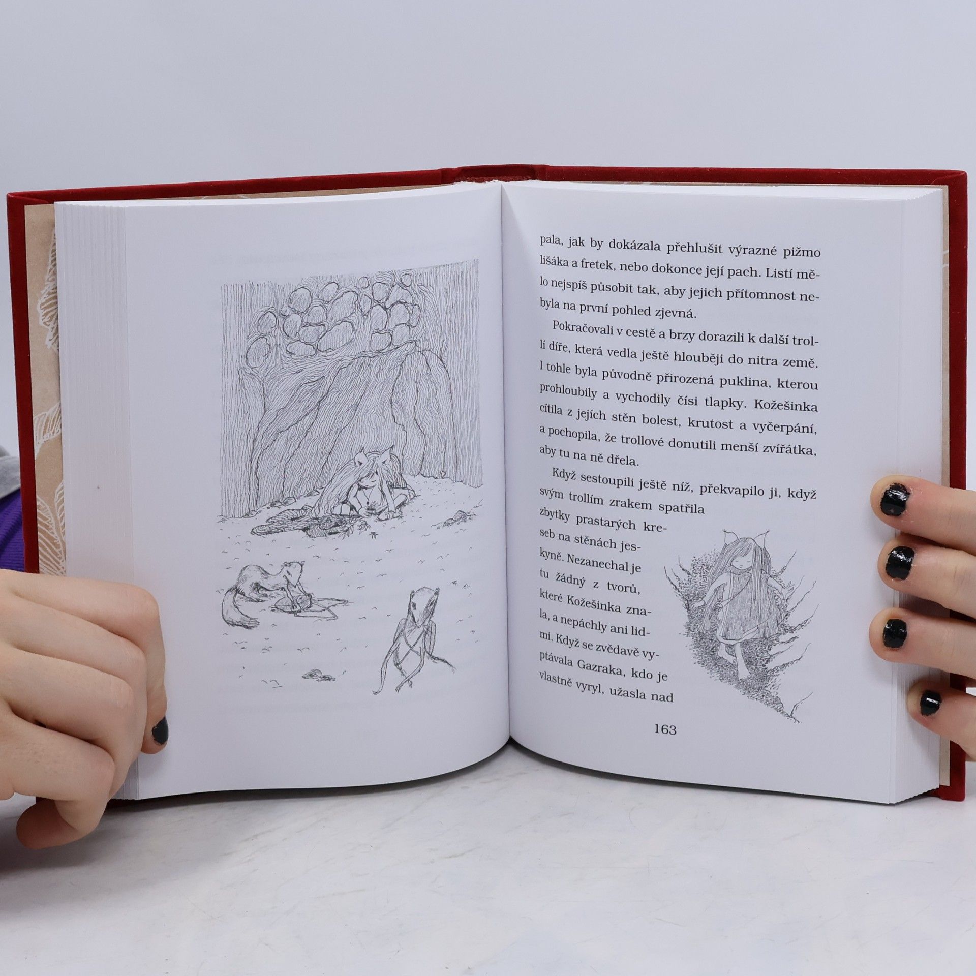 Isobelle Carmody Legenda o Kožešince 2, Lišák Žal