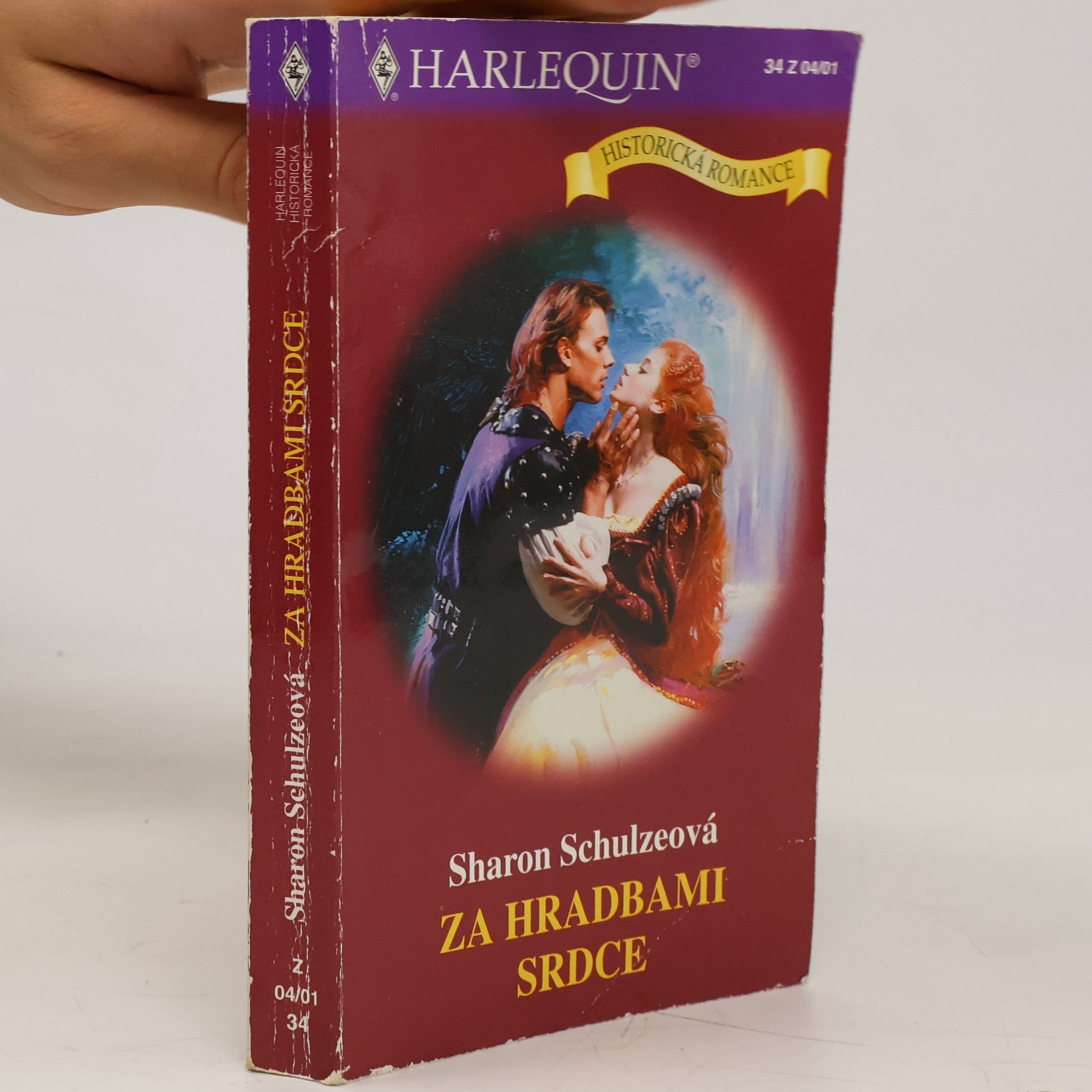 Sharon Schulze Za hradbami srdce