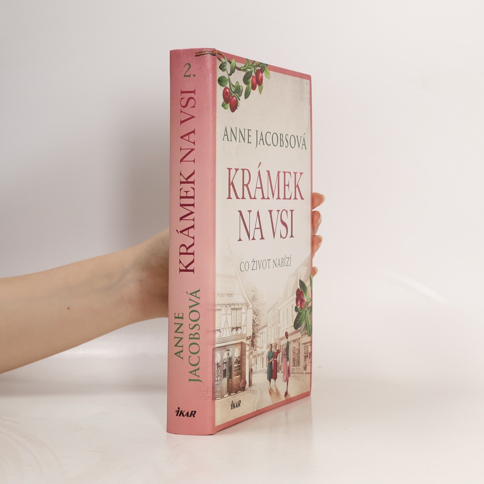 Anne Jacobs Krámek na vsi