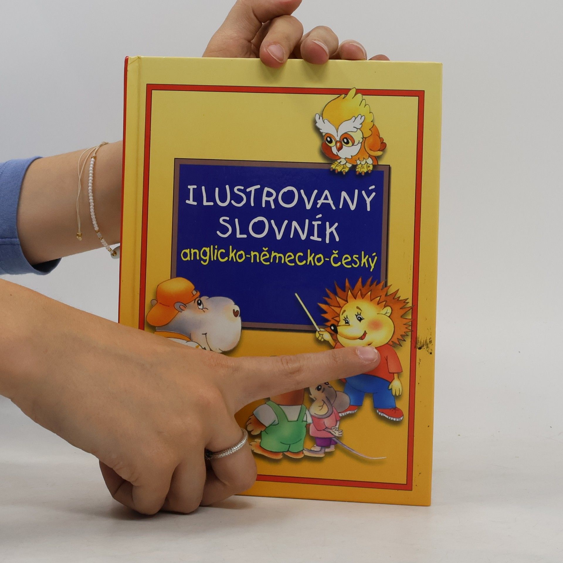 Alena Amchová Ilustrovaný slovník anglicko-německo-český