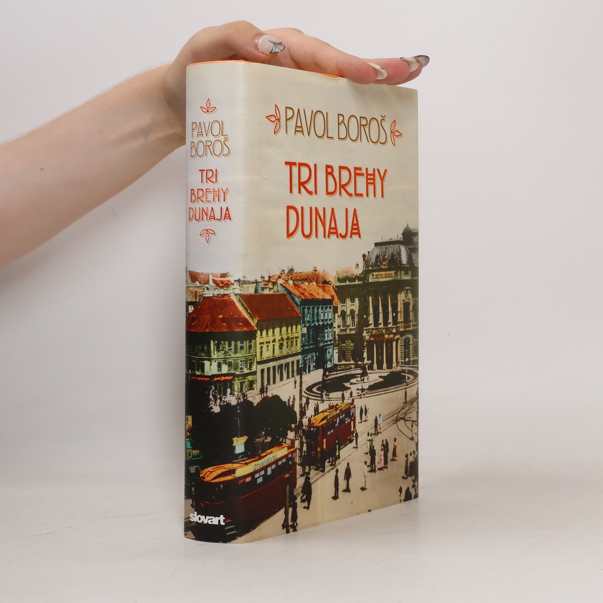 Pavol Boroš Tri brehy Dunaja